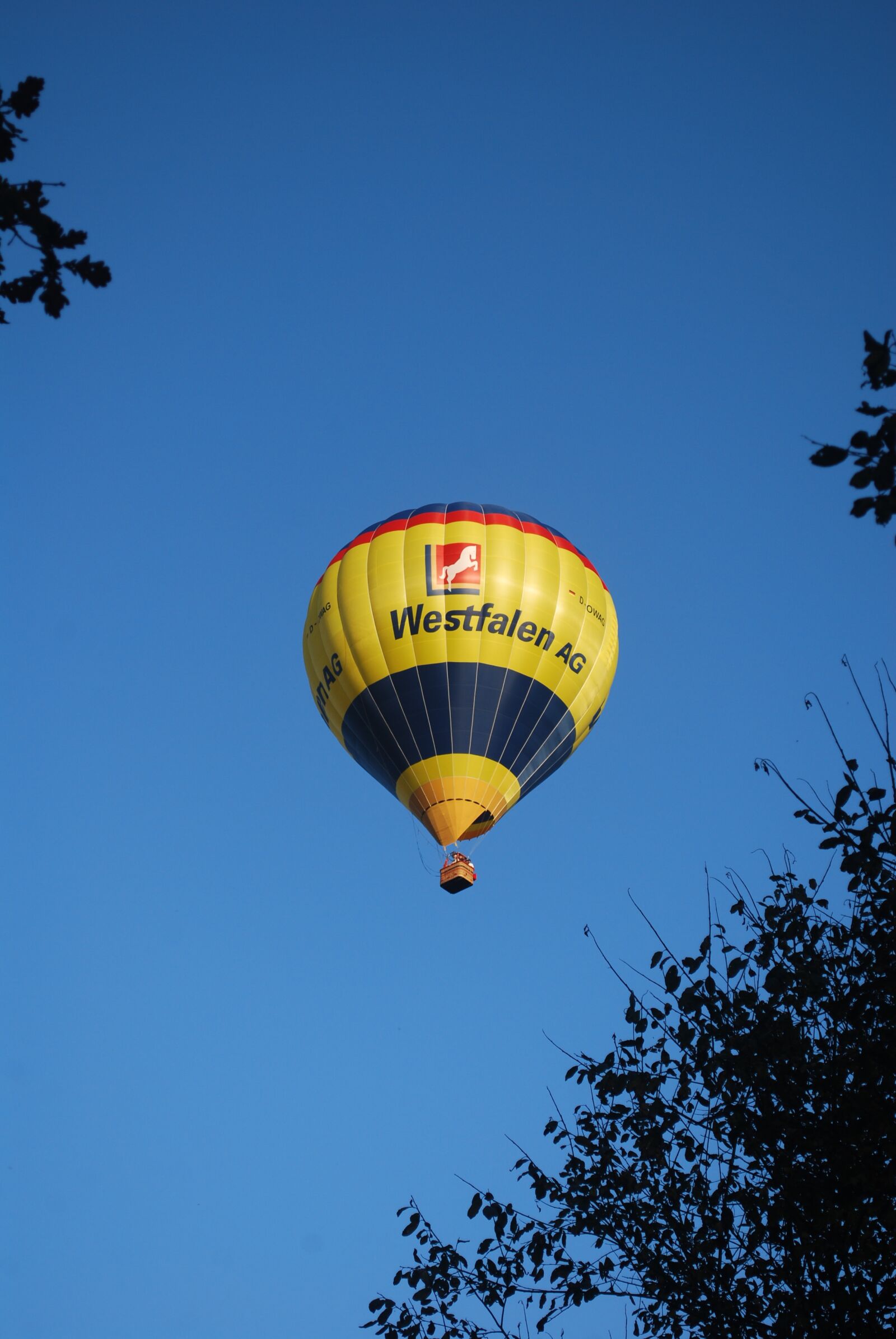 Nikon D60 sample photo. Balloon, sky, flying photography