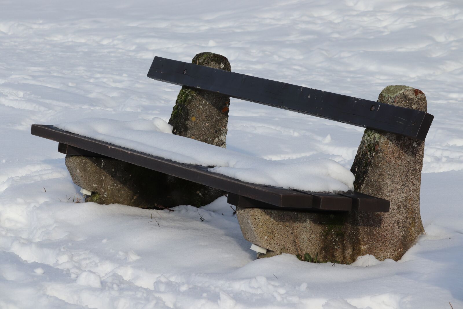 Canon EOS 200D (EOS Rebel SL2 / EOS Kiss X9) sample photo. Tranquility base, snow, wooden photography