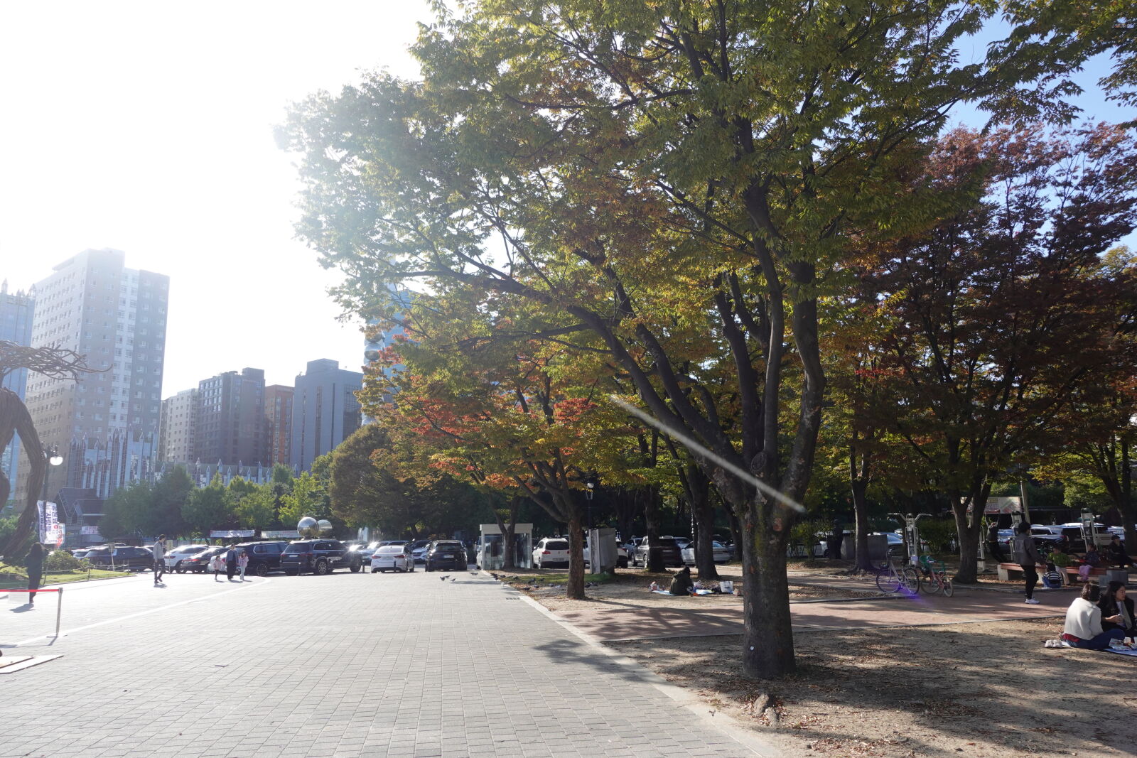 Sony ZV-1 sample photo
