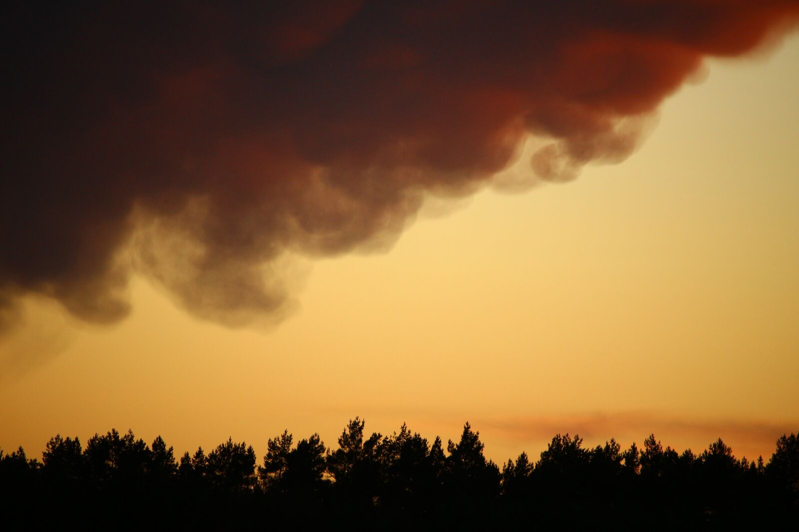 Canon EOS 100D (EOS Rebel SL1 / EOS Kiss X7) sample photo. Sky, clouds, forward photography