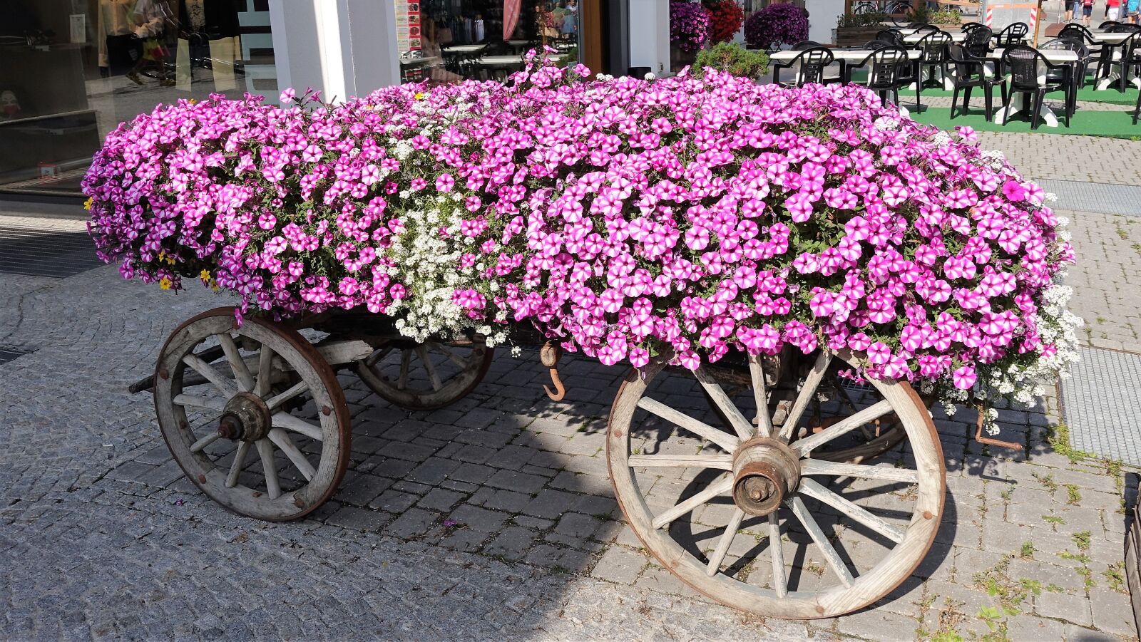 Sony Cyber-shot DSC-RX100 IV sample photo. Flowers, decoration, pink photography