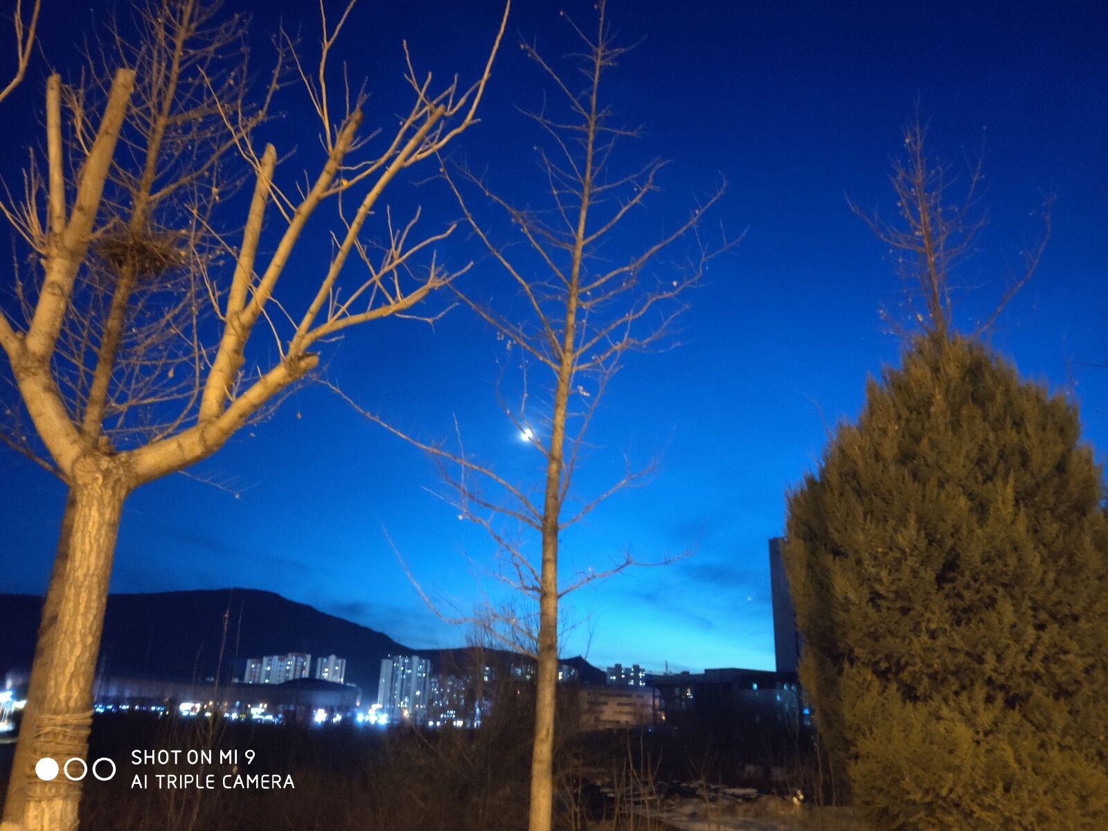 Xiaomi Mi 9 Sample Photo Zxpo7bywdp Explorecams