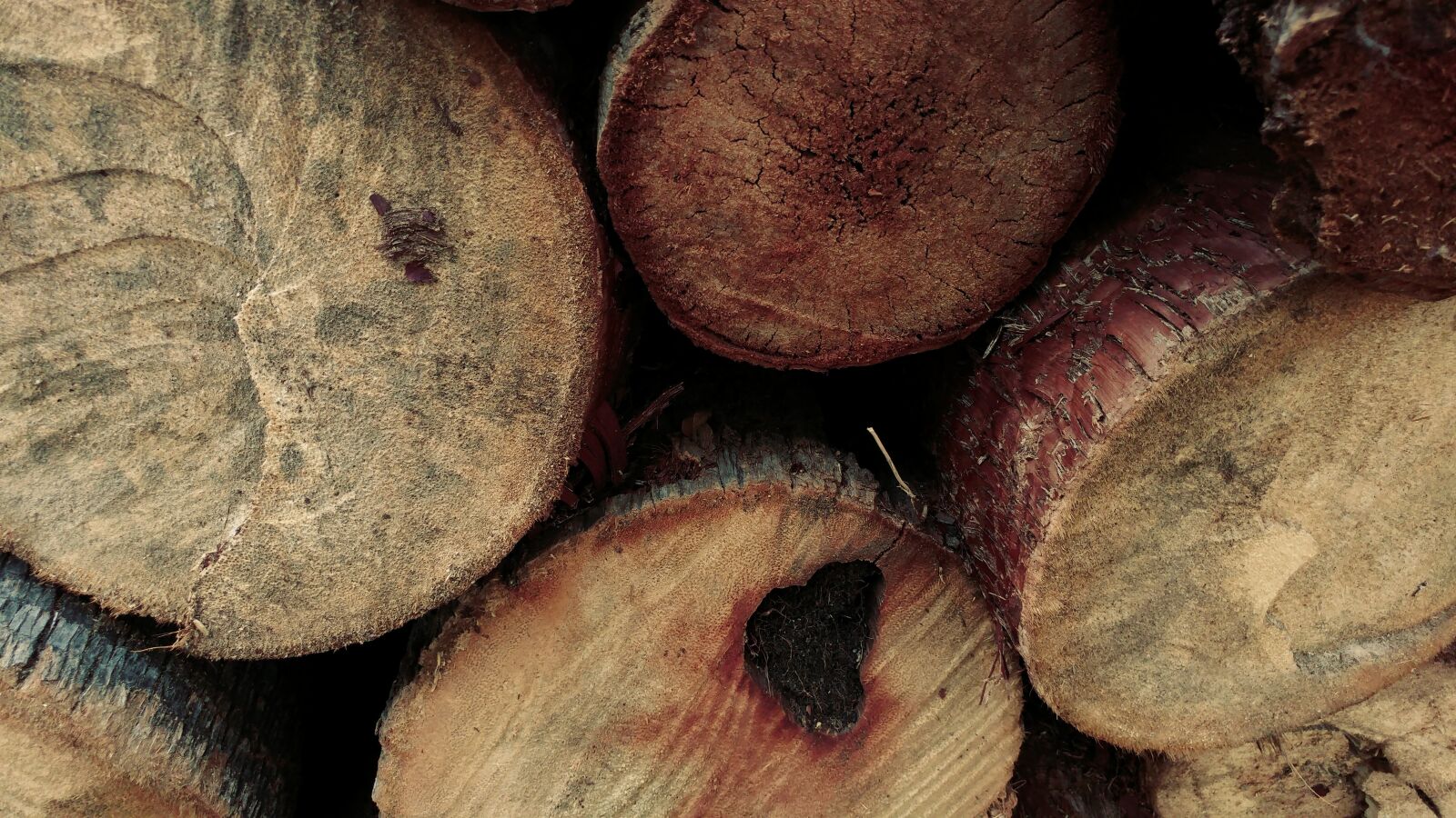 LG G5 sample photo. Log, timber, fire wood photography