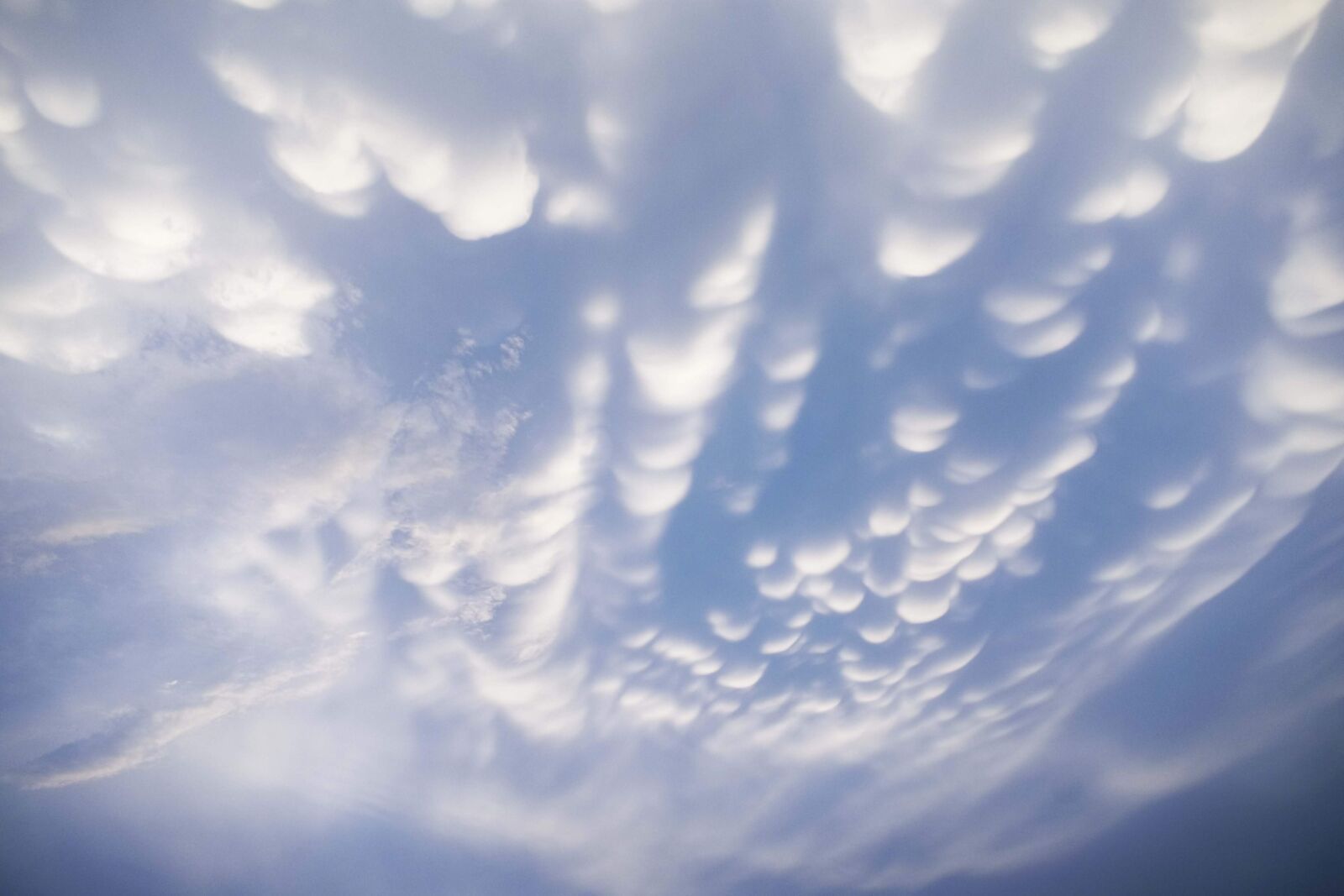 Nikon D3400 sample photo. Mammatus clouds, mammatus, cloud photography