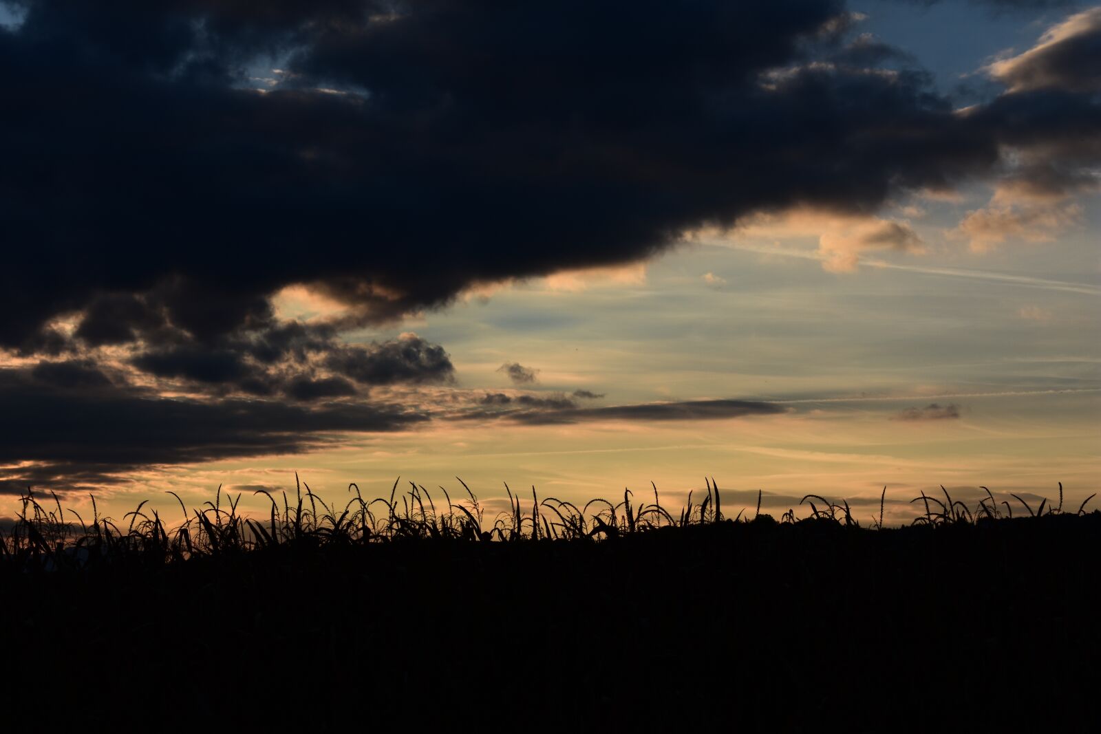 Nikon D3400 sample photo. Autumn, sunset, nature photography