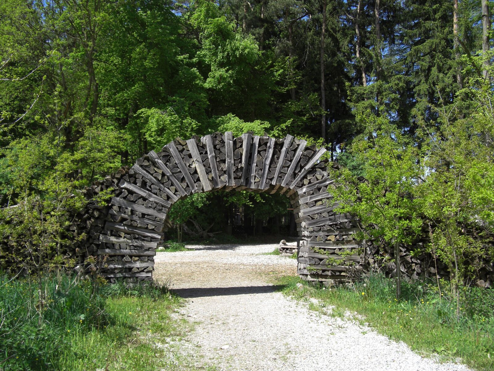 CASIO EX-Z1200 sample photo. Wooden gate, holzstapel, forest photography