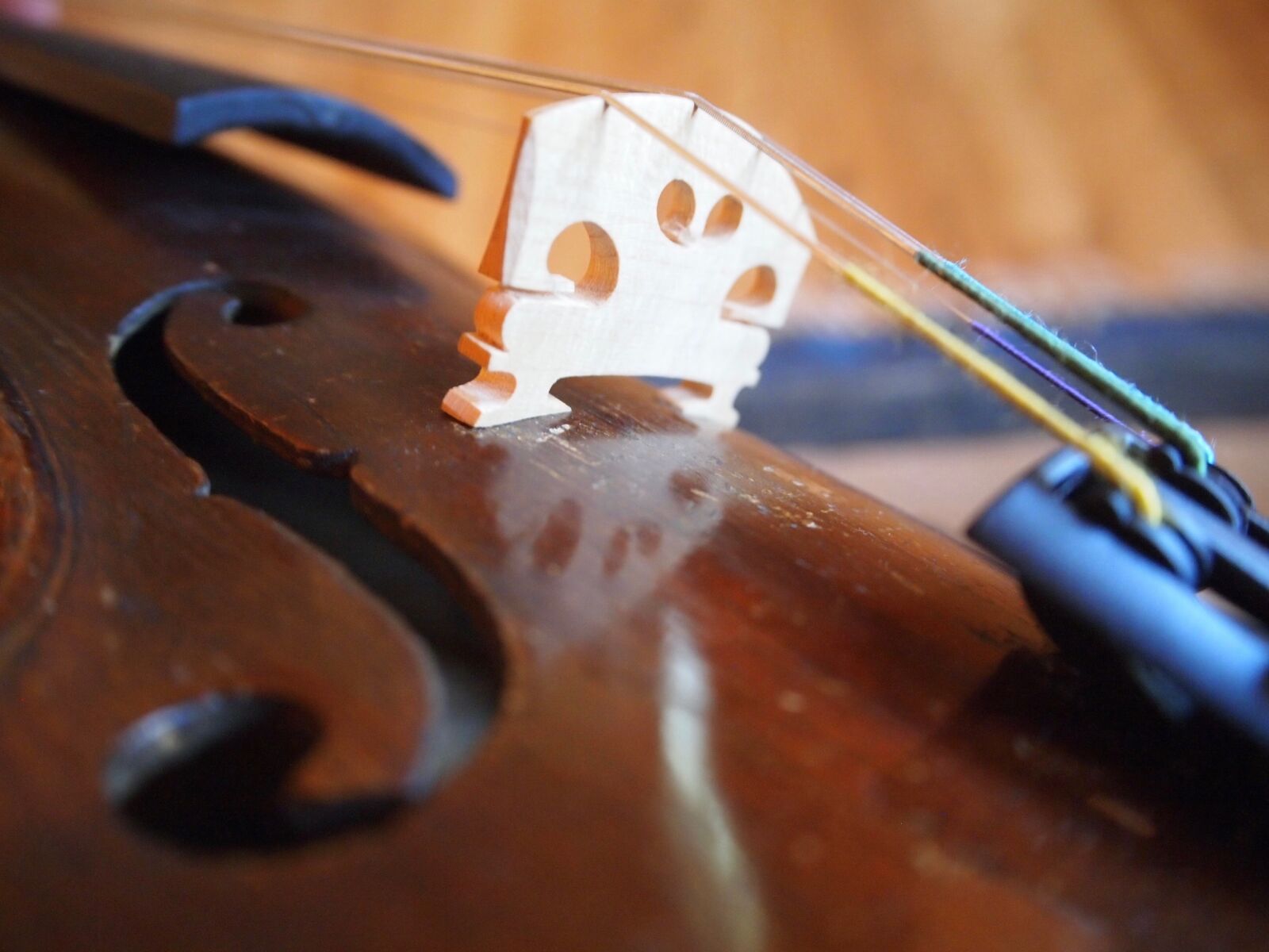 Olympus PEN E-PL2 sample photo. Violin, music, instrument photography