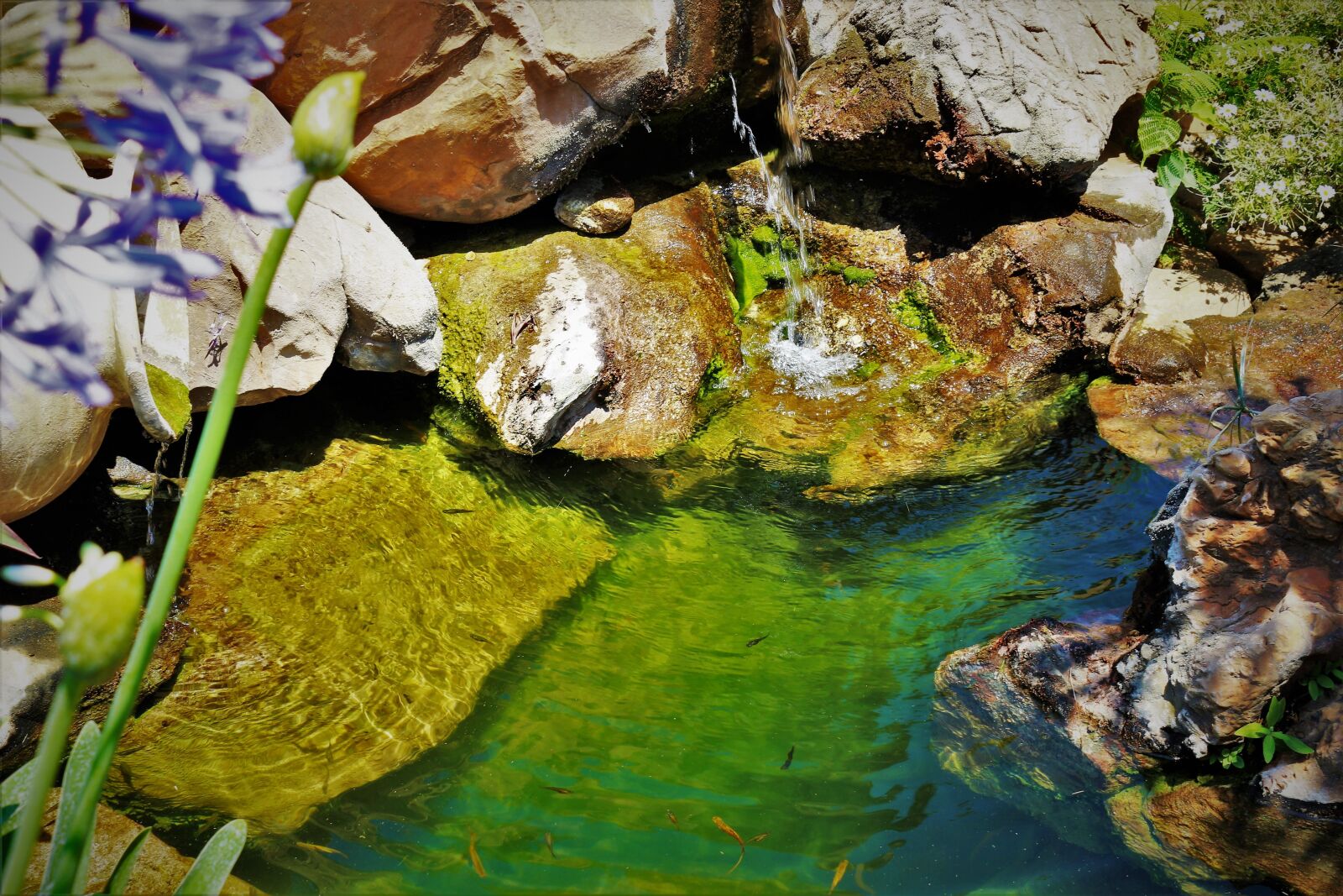 Canon EOS 100D (EOS Rebel SL1 / EOS Kiss X7) sample photo. Pond, water, rock photography