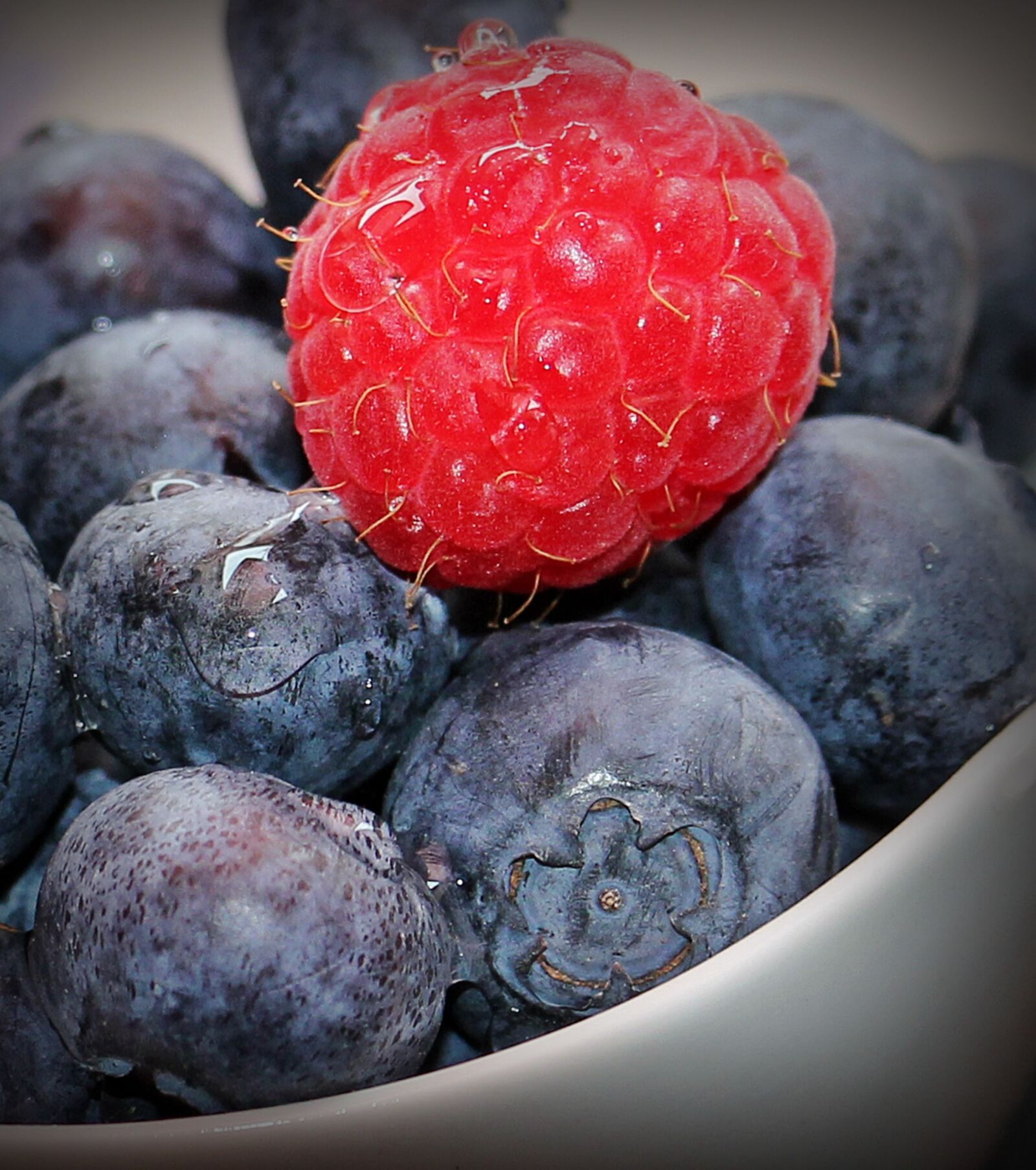Canon EOS 550D (EOS Rebel T2i / EOS Kiss X4) sample photo. Blueberries, raspberry, fruits photography