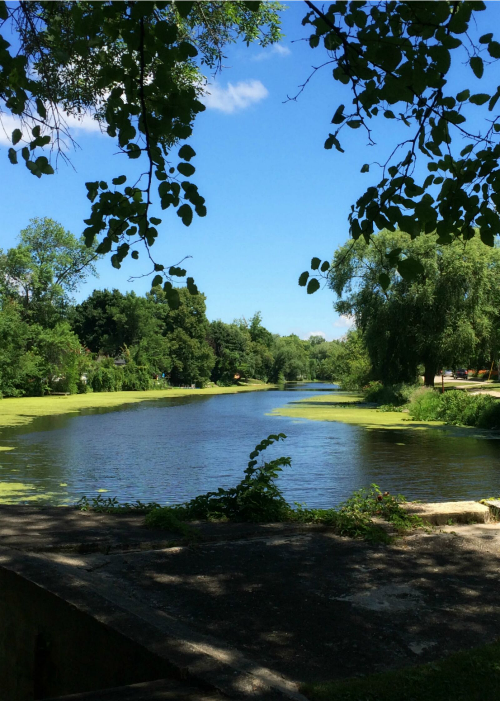 iPhone 5s back camera 4.15mm f/2.2 sample photo. Tree, water, nature photography