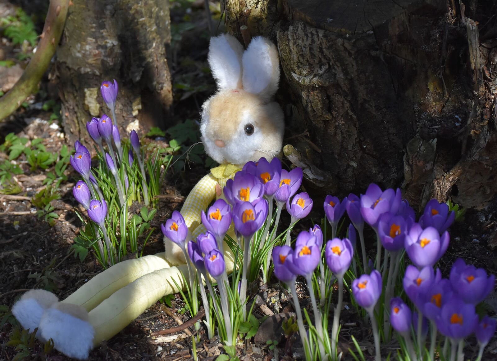 Nikon D7200 sample photo. Hare, toys, easter photography
