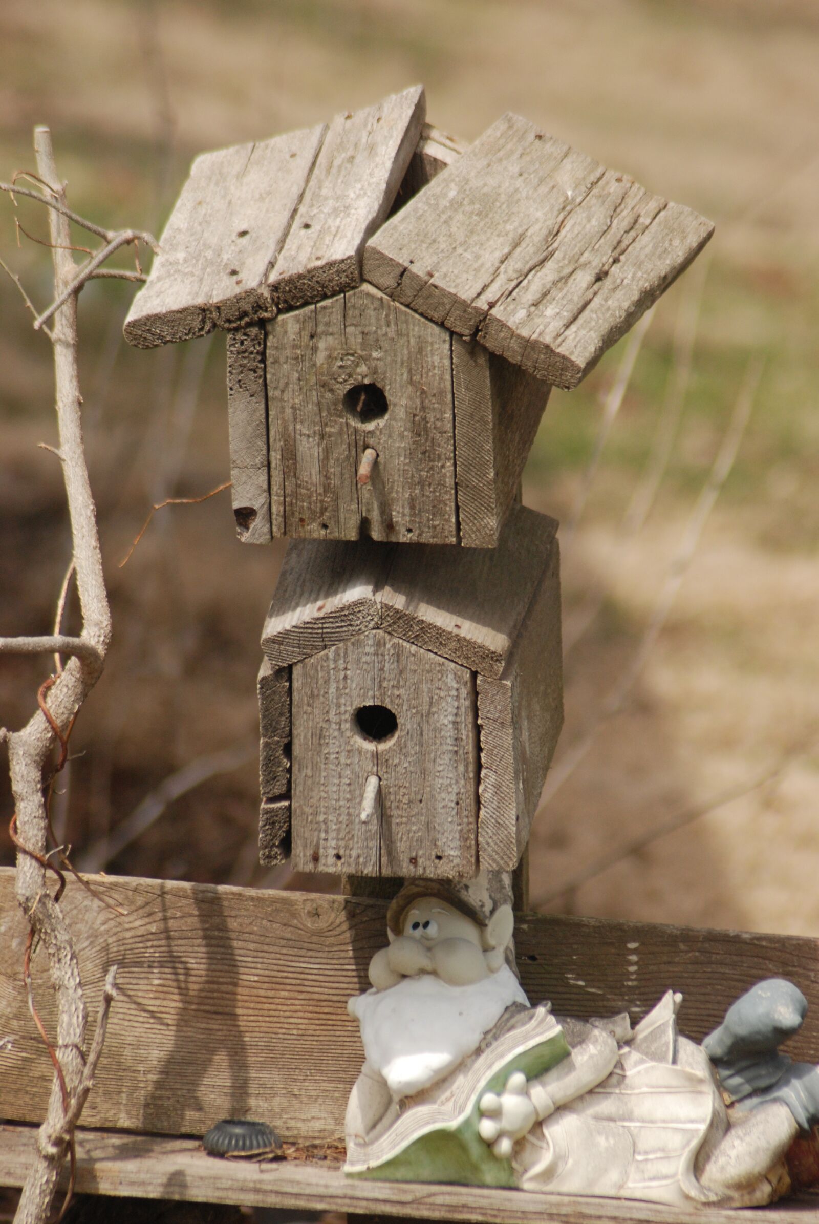 Nikon D80 sample photo. Bird, bird house, rustic photography