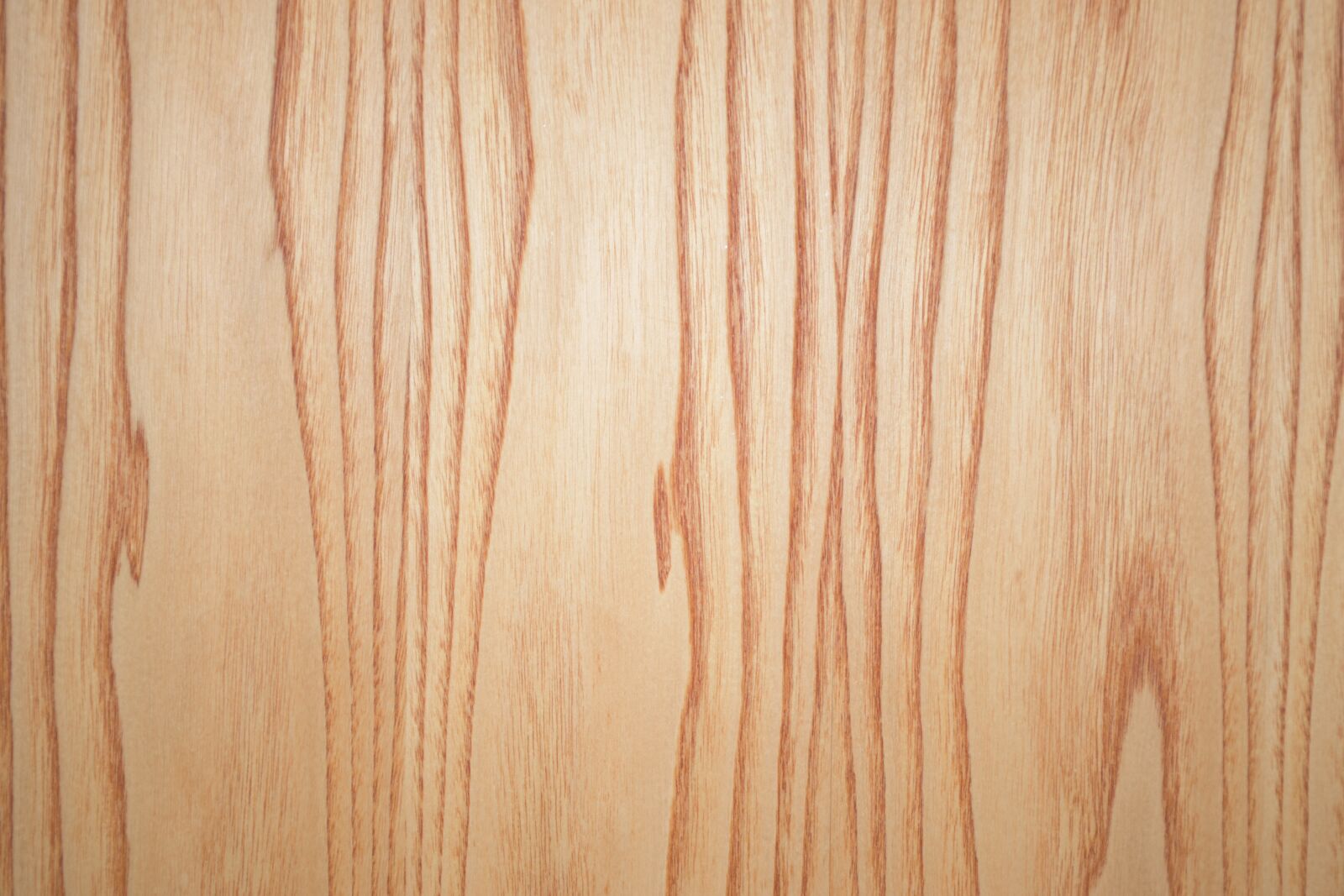 Nikon D5600 sample photo. Wood, wood texture, texture photography