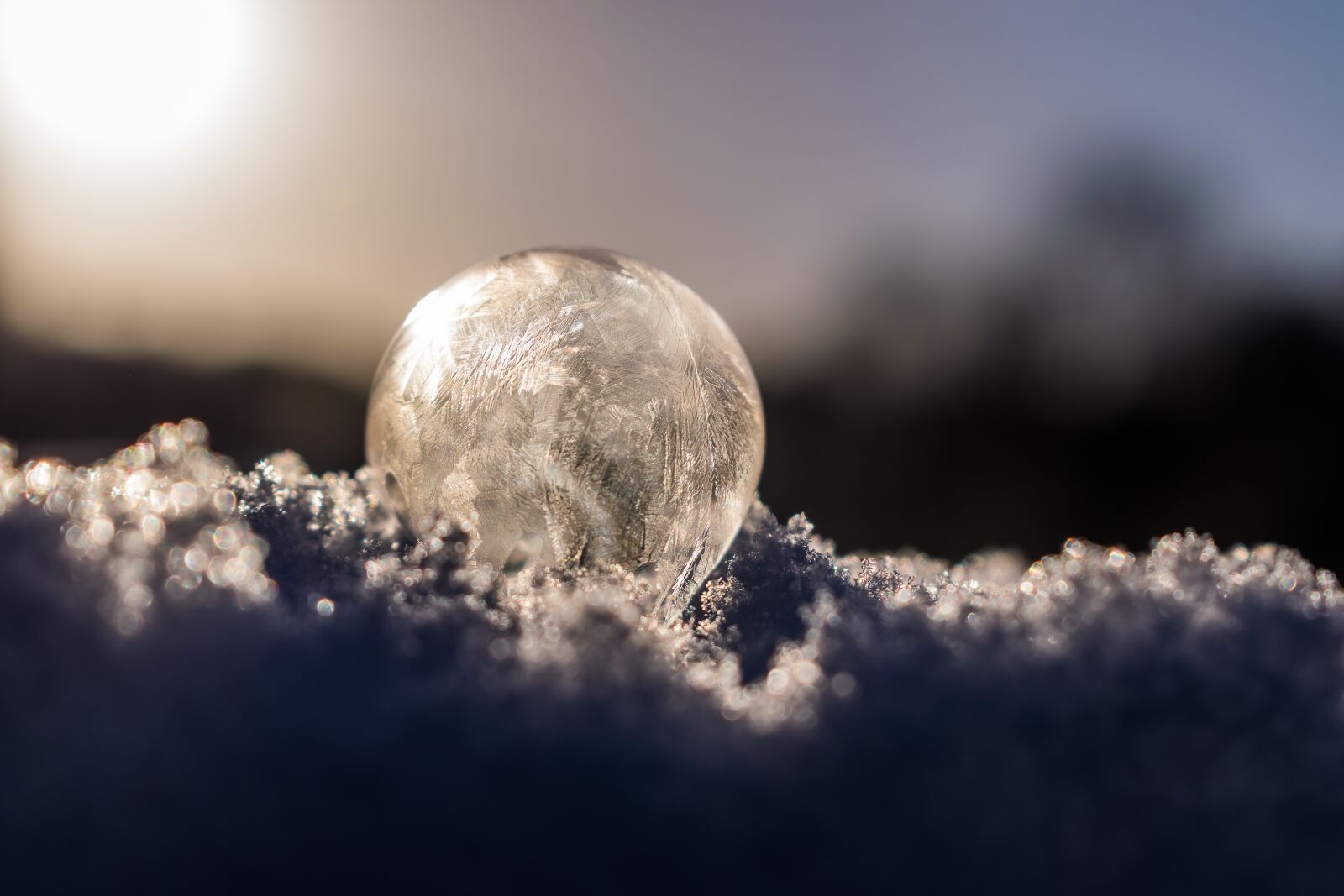 Nikon D5300 sample photo. Soap bubble, soapbubble, winter photography