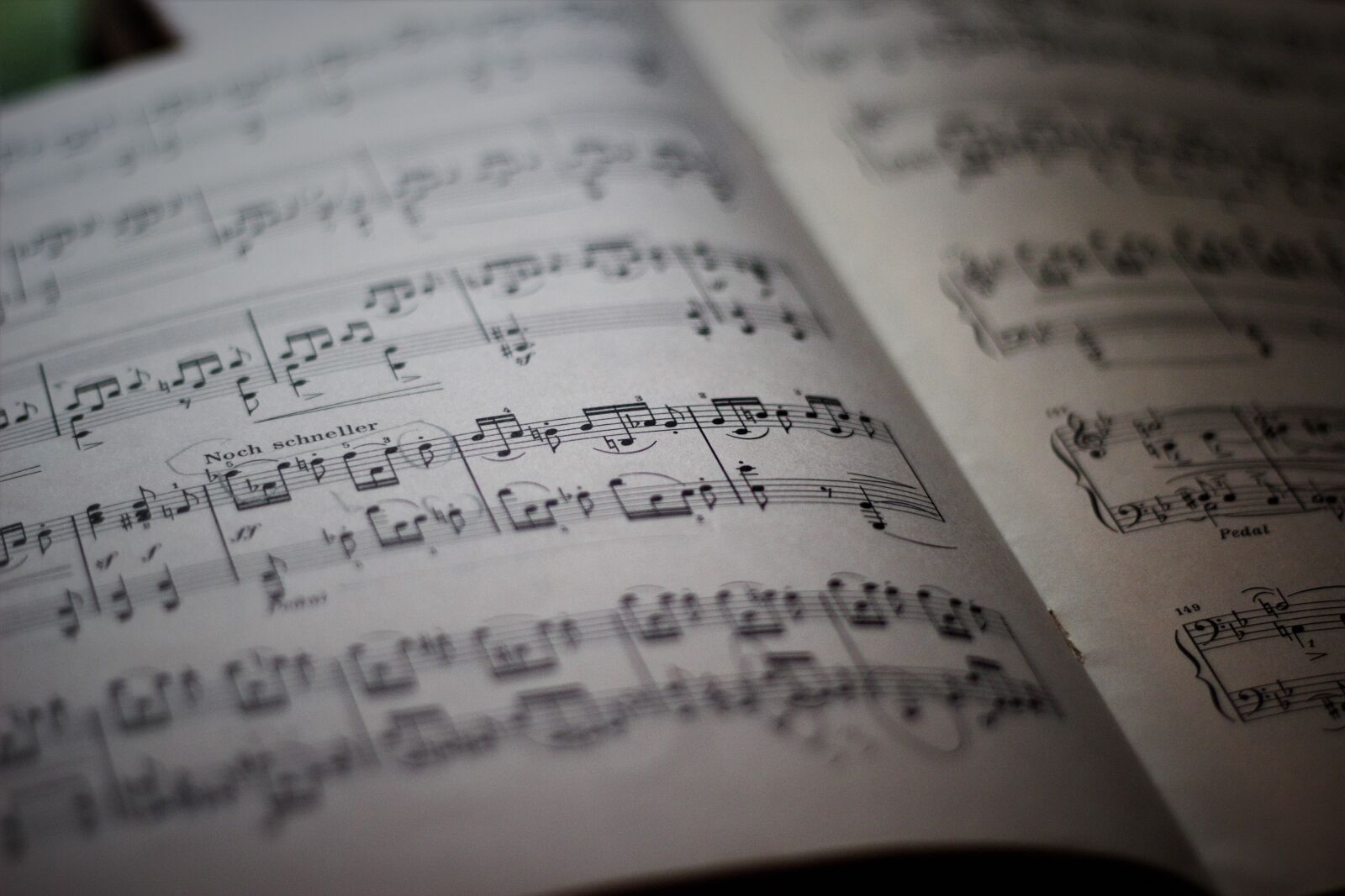 Canon EOS 600D (Rebel EOS T3i / EOS Kiss X5) sample photo. Lyrics, sheet music, note photography