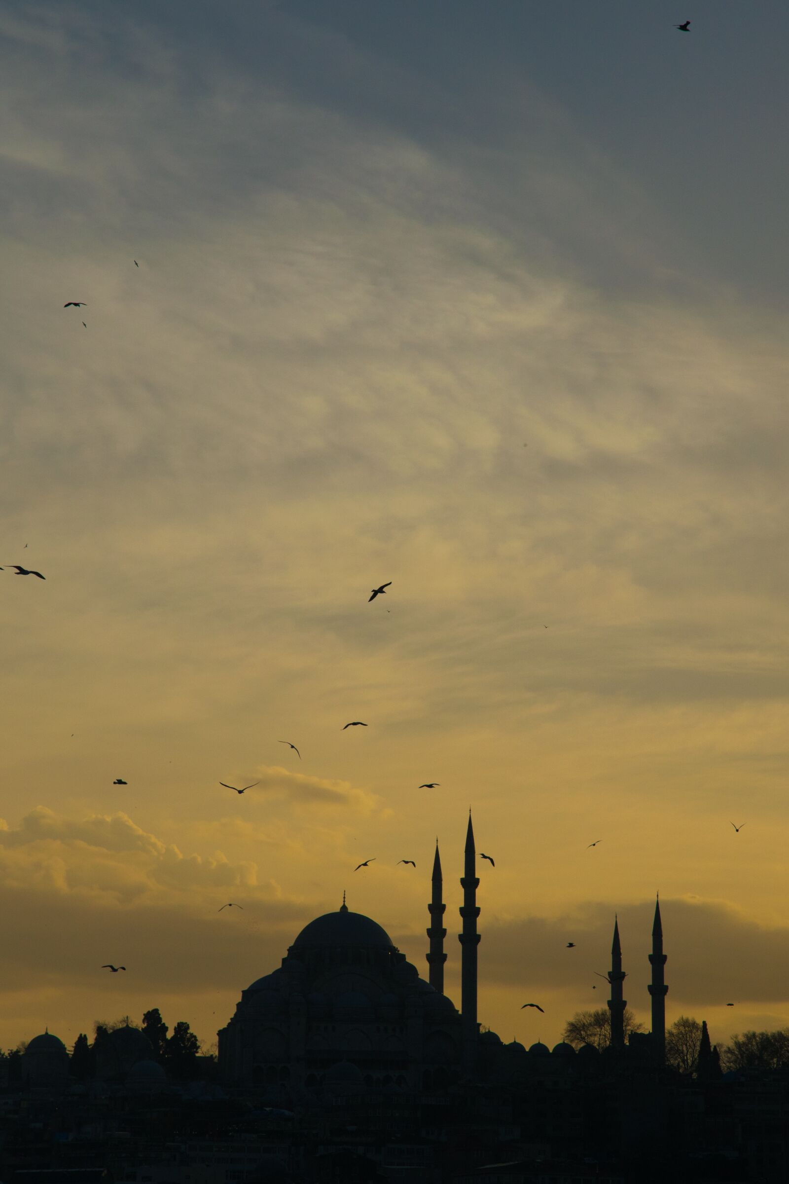 Nikon D5300 sample photo. Istanbul, sunset, sky photography