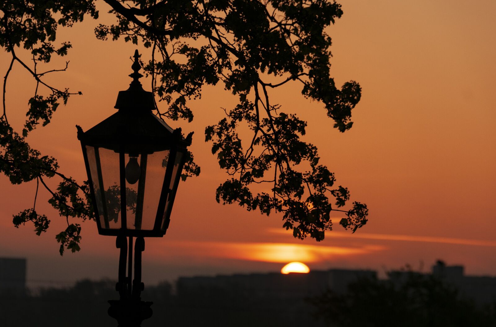 Nikon D300S sample photo. Germany, dresden, saxony photography