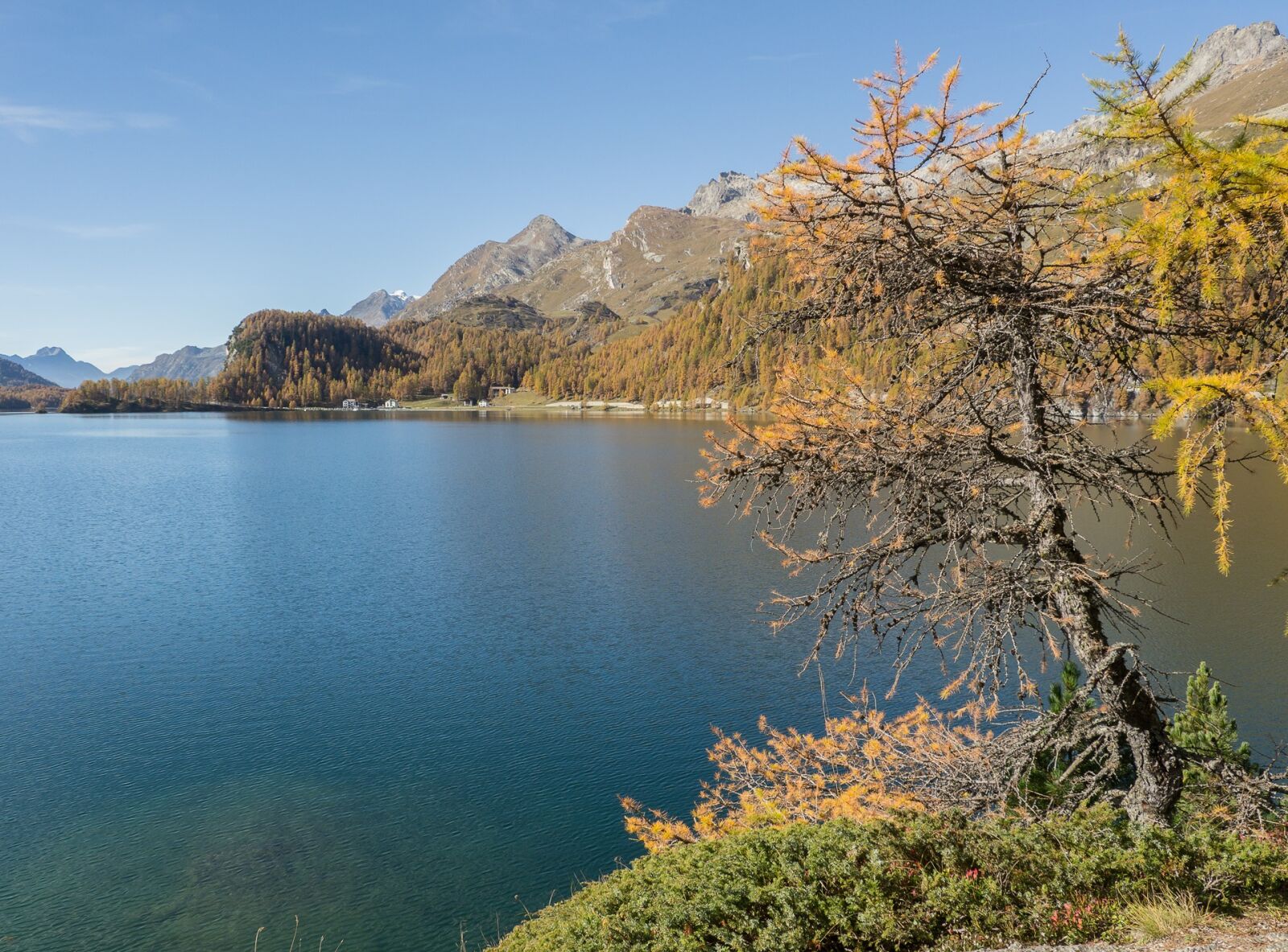 Panasonic Lumix DMC-GH2 + Panasonic Lumix G Vario HD 14-140mm F4-5.8 OIS sample photo. Lake sils, switzerland, graub photography