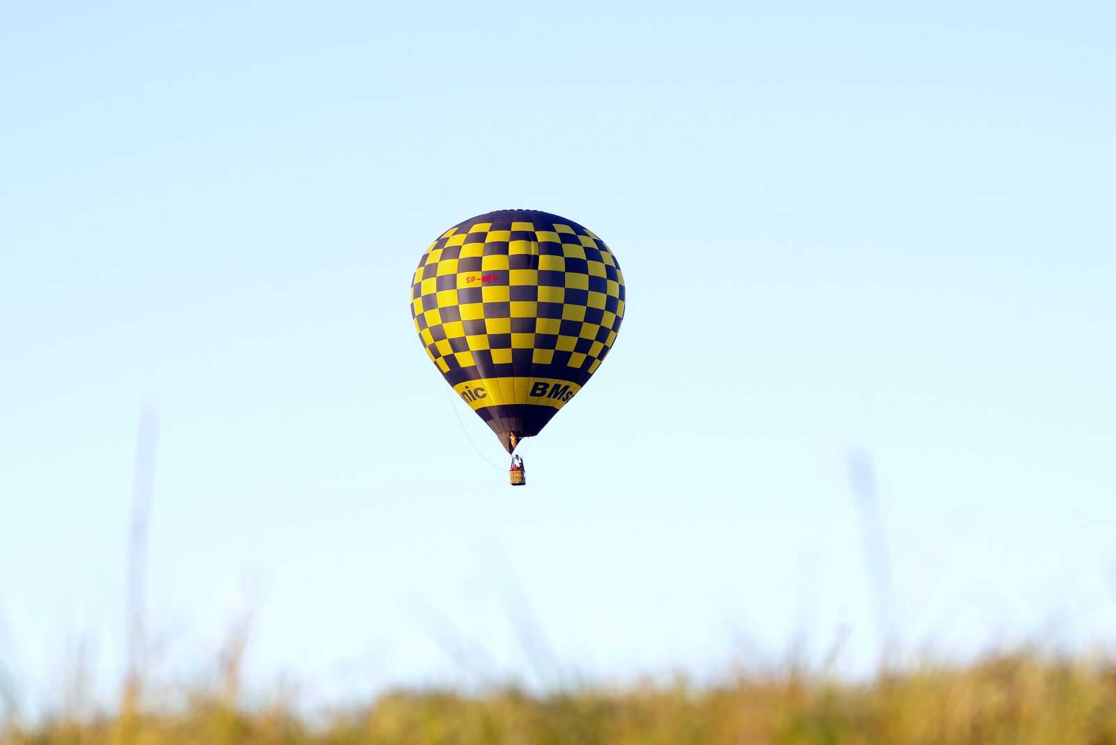 Pentax K-S2 sample photo. Balloon, fly, flying photography