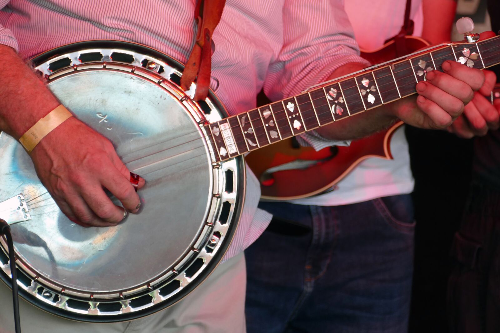 Panasonic Lumix DMC-FZ1000 sample photo. Banjo, music, musical instrument photography