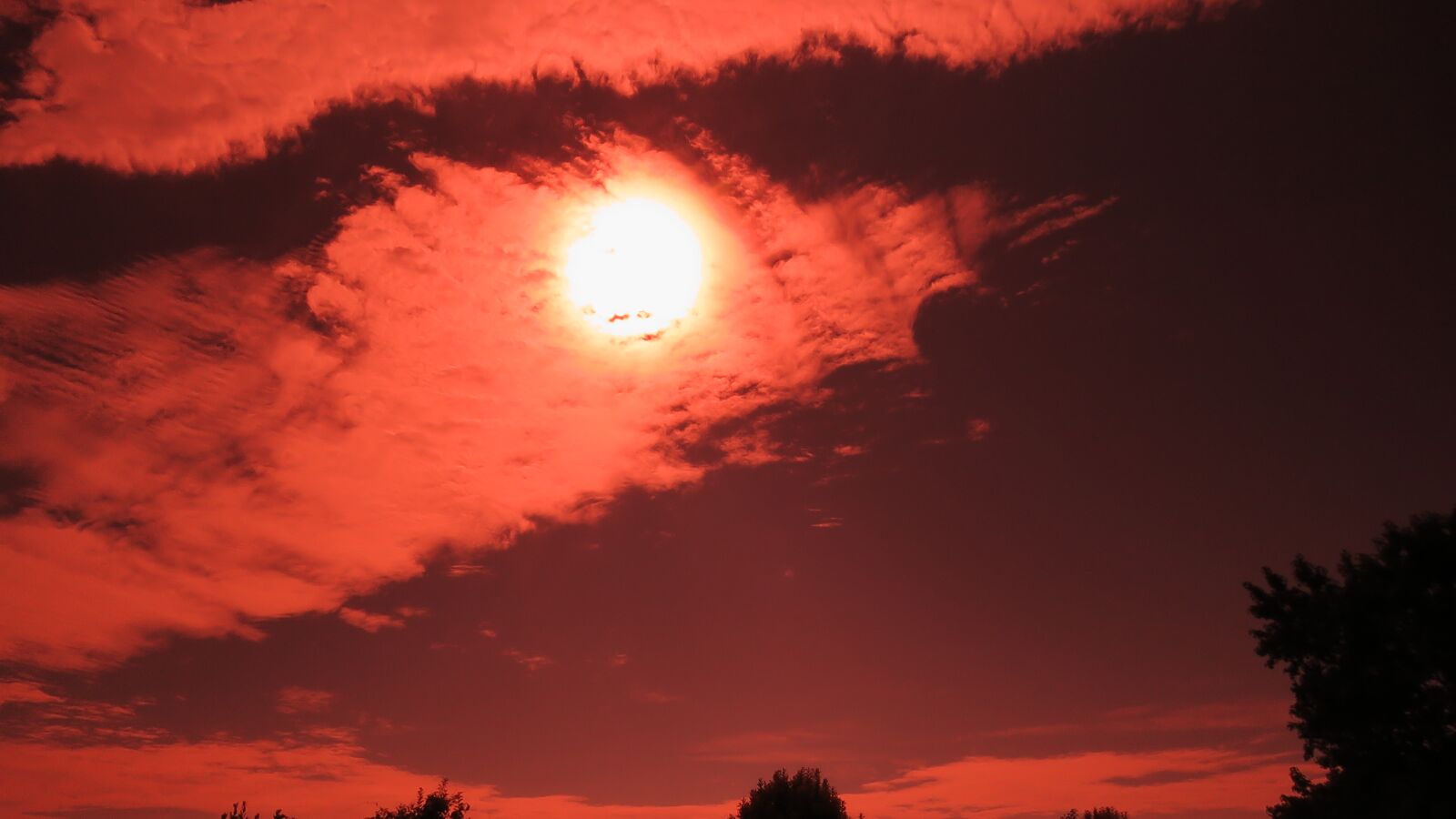 Canon PowerShot SX60 HS sample photo. Sky, sun, landscape photography