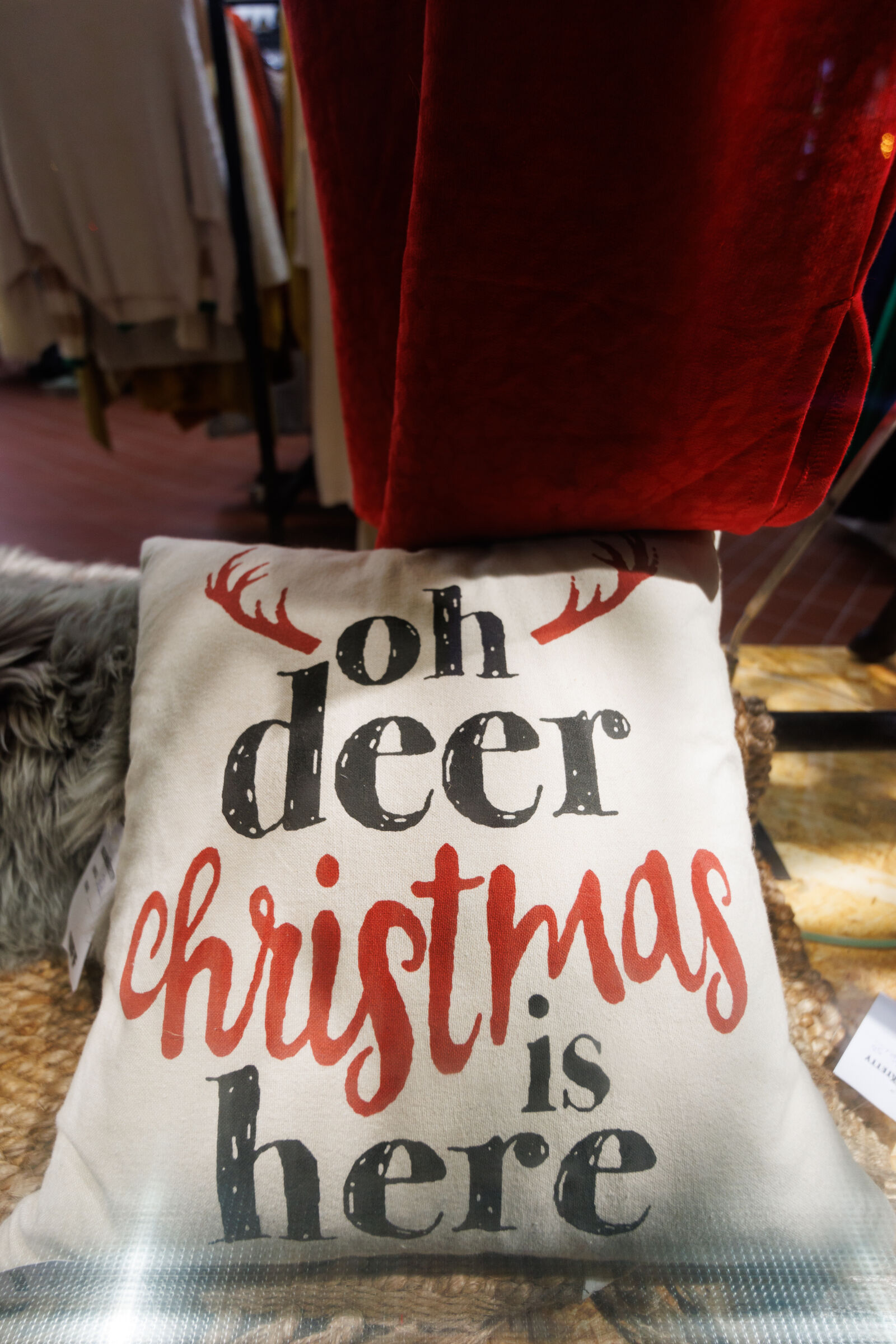 Tamron 11-20mm F2.8 Di III-A RXD sample photo. Oh deer christmas photography