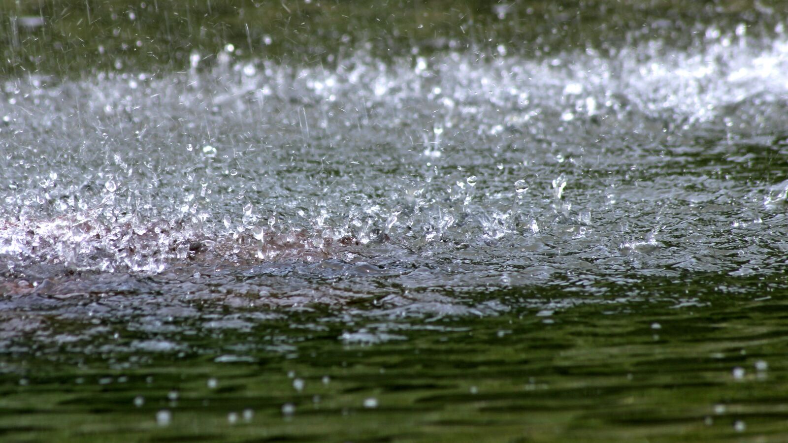 Canon EOS 600D (Rebel EOS T3i / EOS Kiss X5) sample photo. Water, drop of water photography