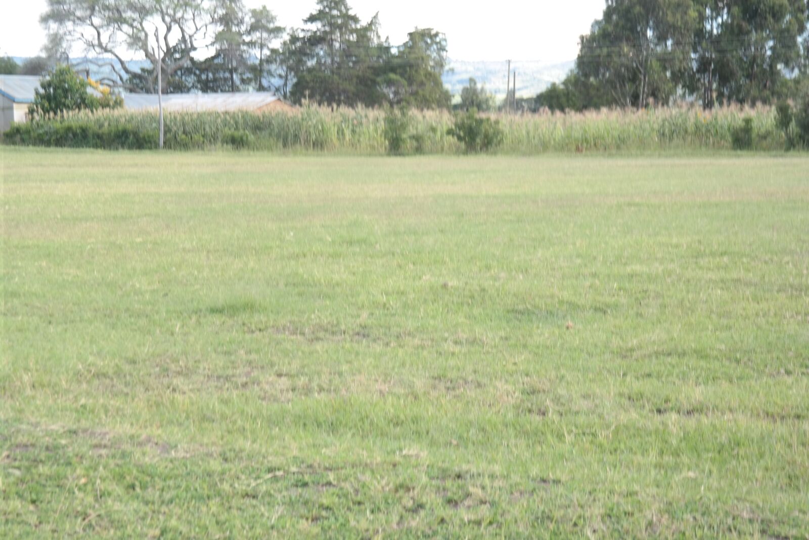 Samsung NX300 sample photo