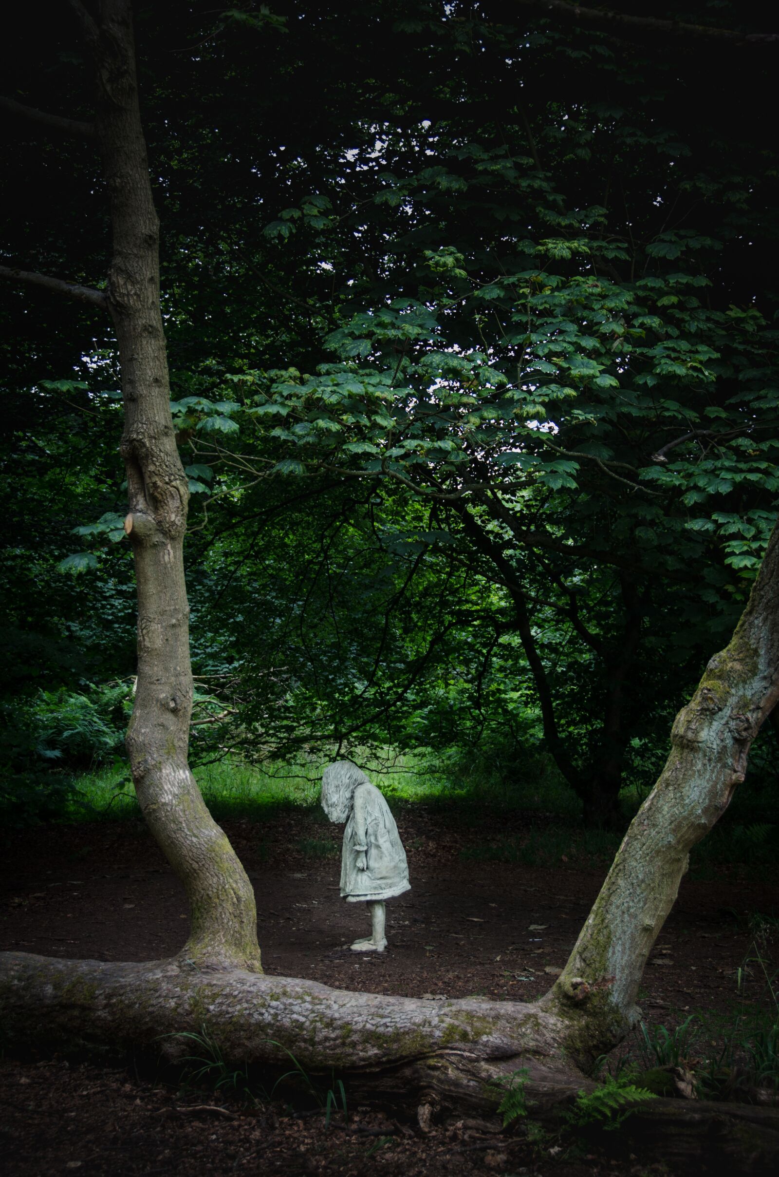 Nikon D7000 sample photo. Statue, woods, forest photography