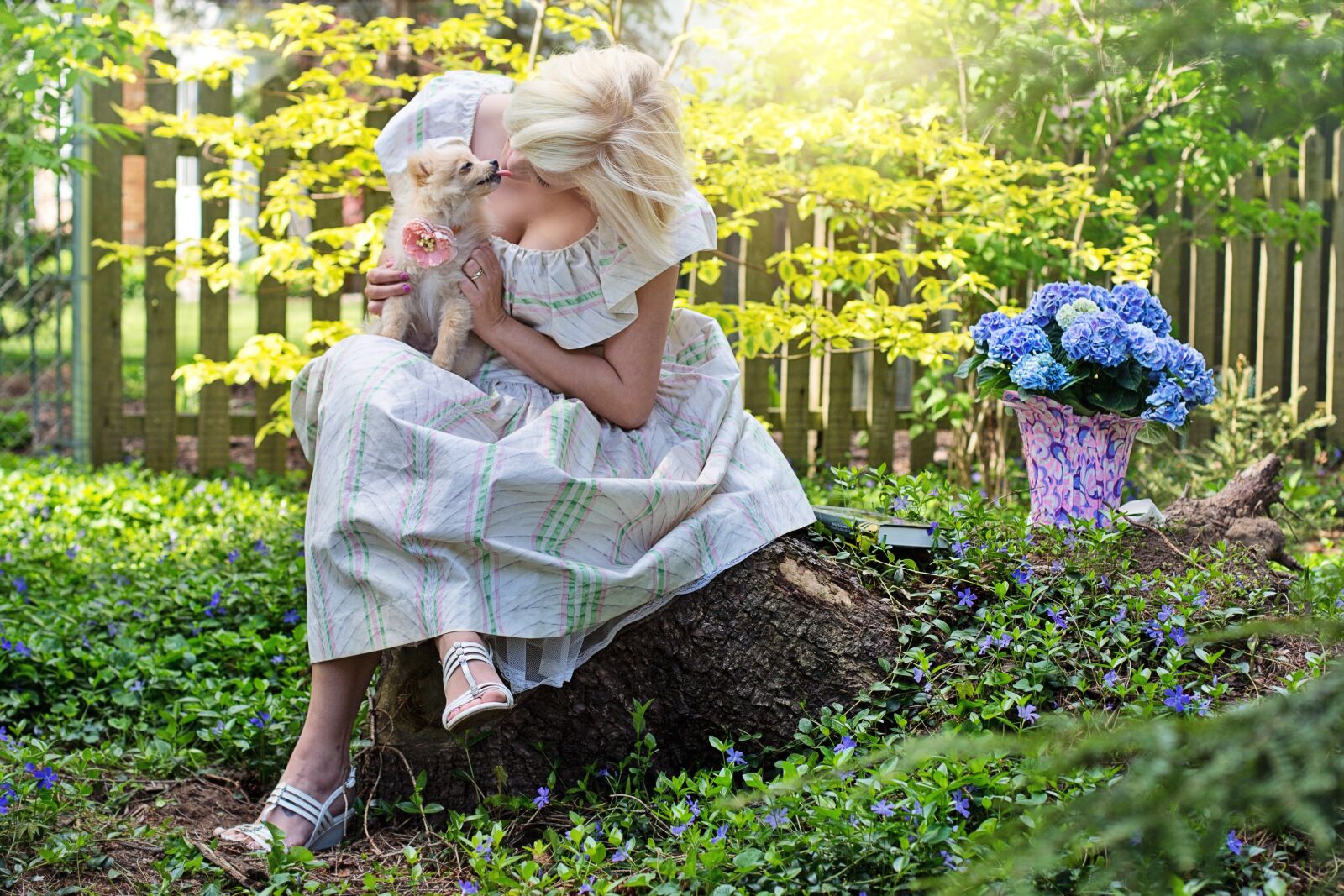 Canon EF 50mm F1.4 USM sample photo. Pretty woman, dog, pet photography
