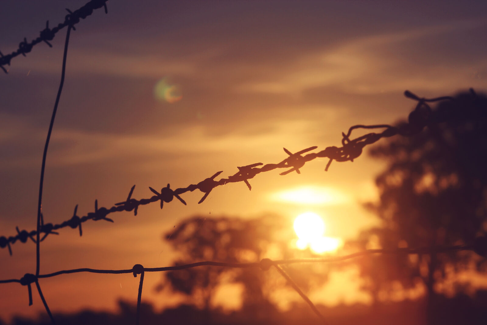 Canon EF 75-300mm f/4-5.6 sample photo. Barbed, wire, blur, fence photography