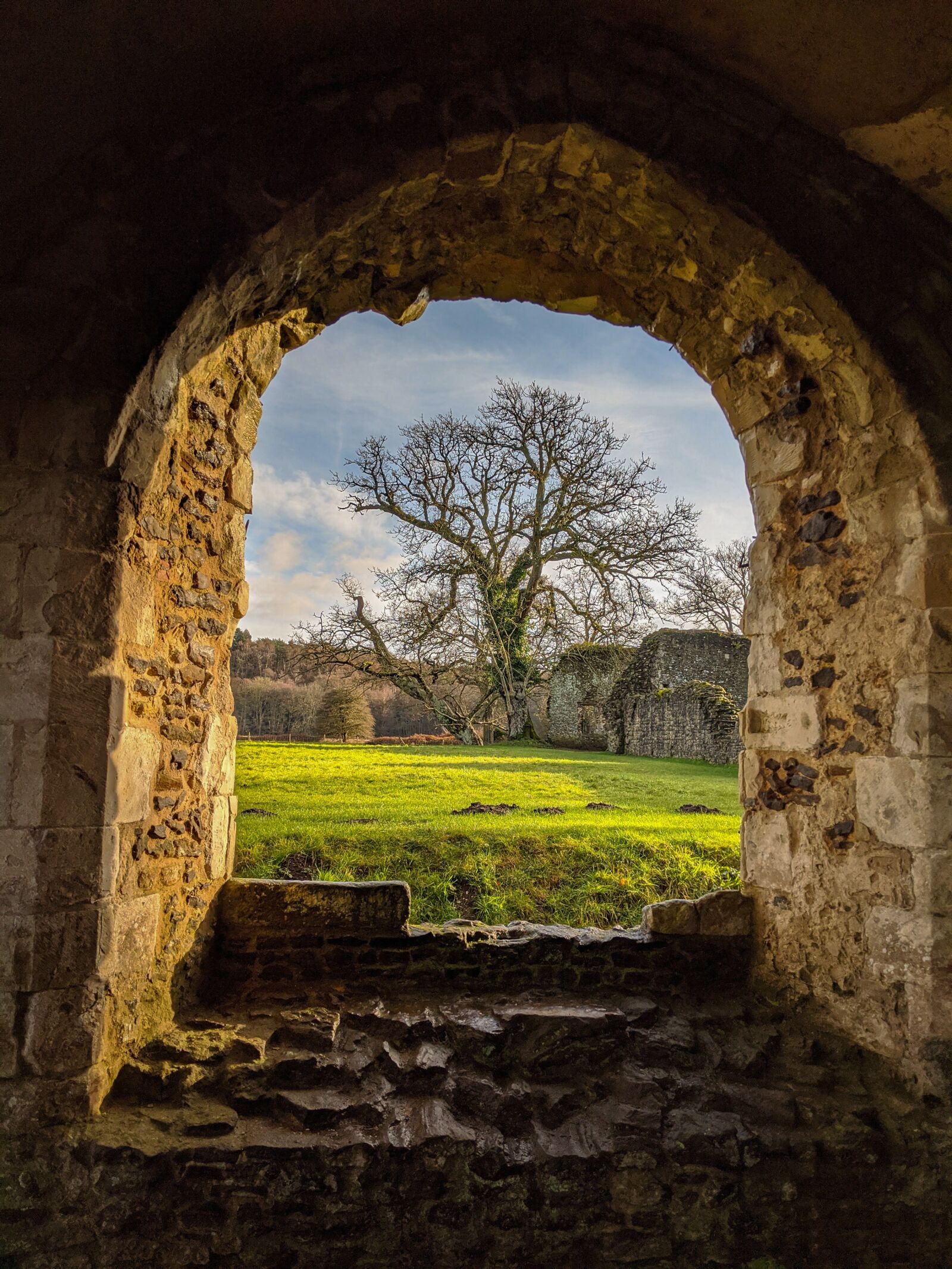 Google Pixel 2 XL sample photo. Tree, england, castle photography