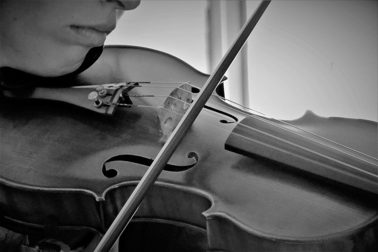 Panasonic DMC-TZ101 sample photo. Violin, musical instrument, music photography