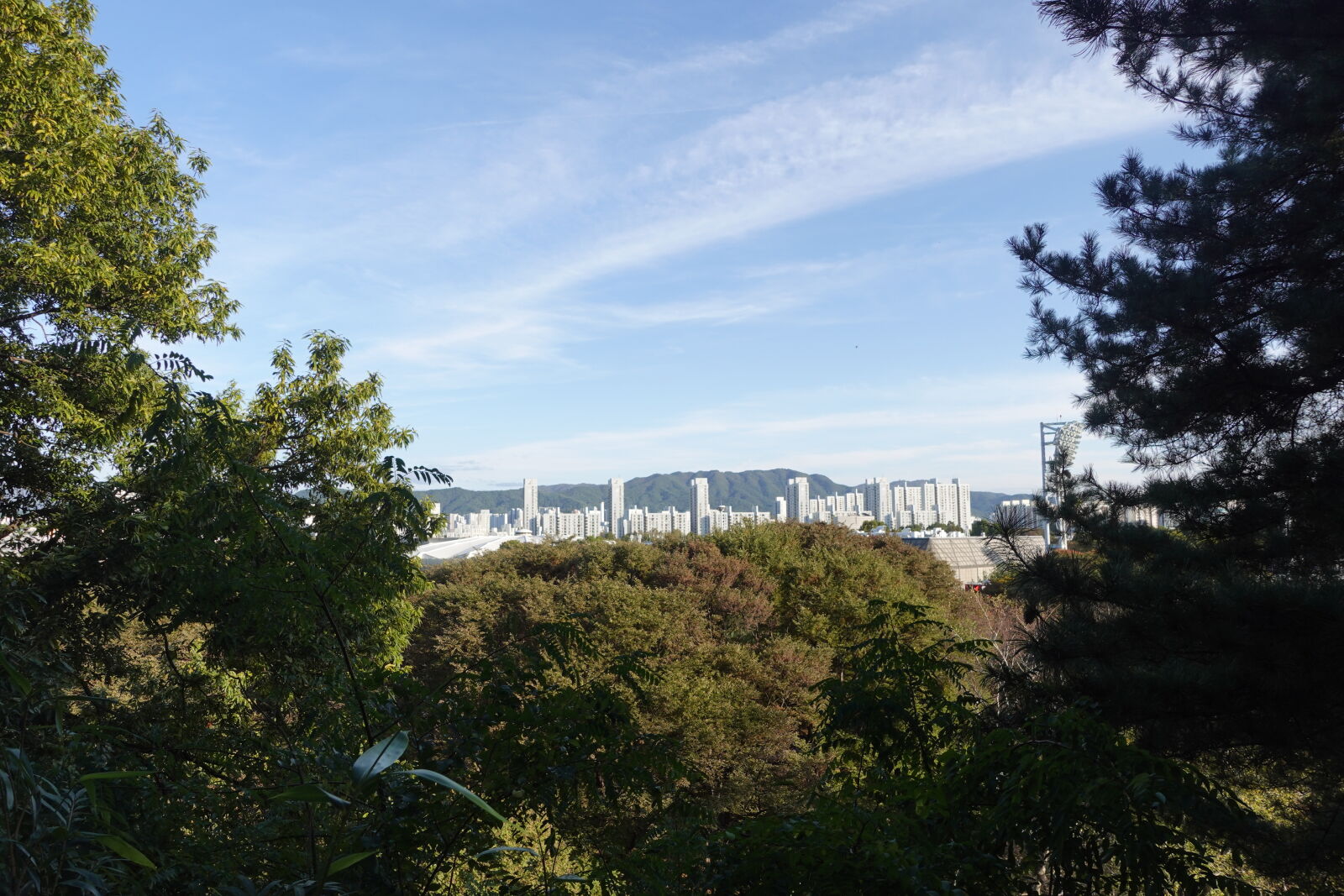 Sony ZV-1 sample photo