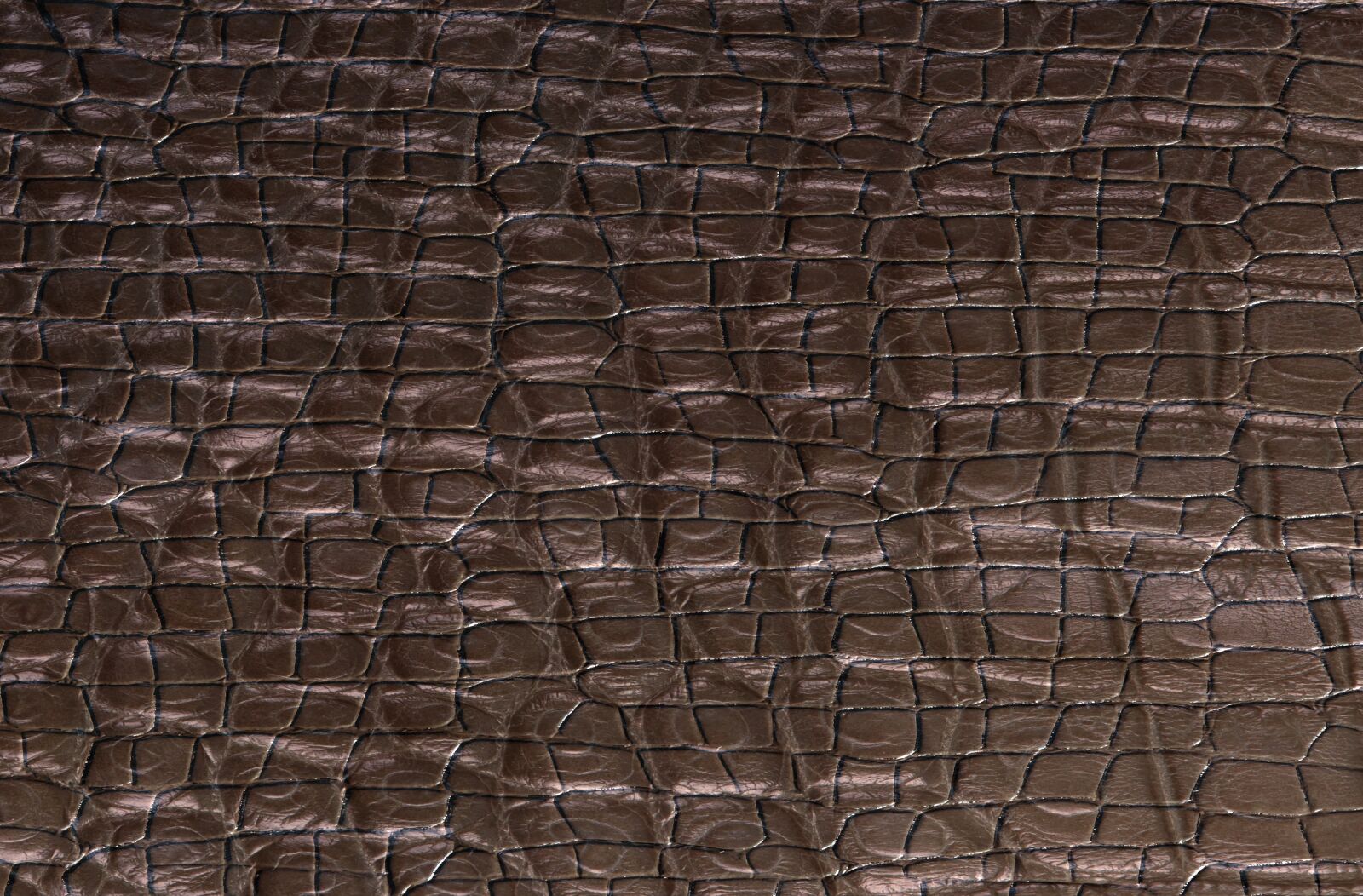 Nikon D700 sample photo. Texture, cook, surface photography