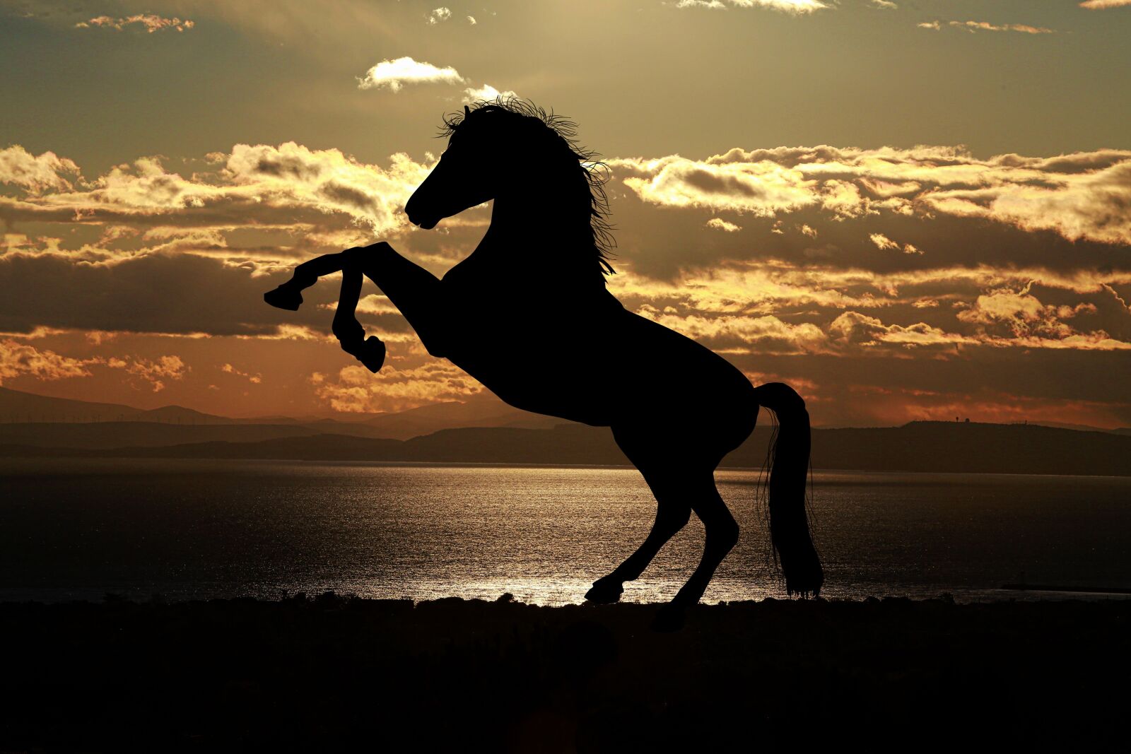 Canon EOS 5D Mark III sample photo. Horse, sunset, sea photography