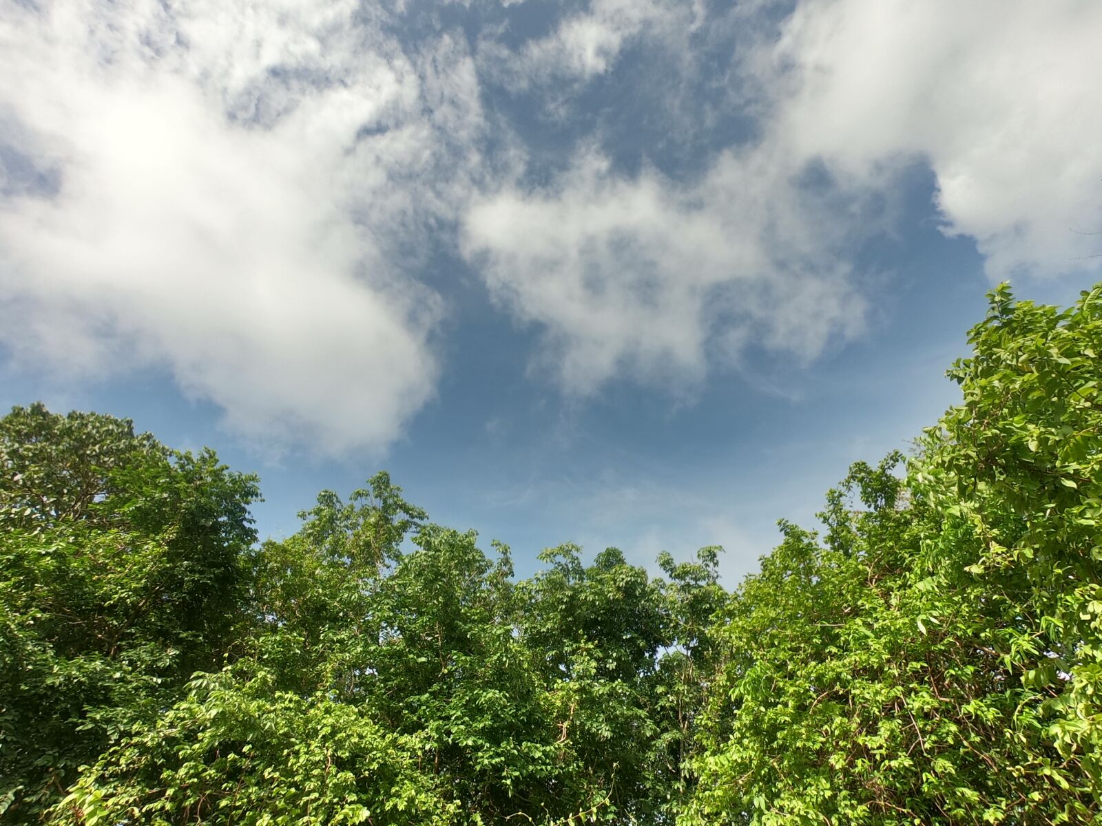 GoPro Hero7 Black sample photo. Sky, blue, kerala photography