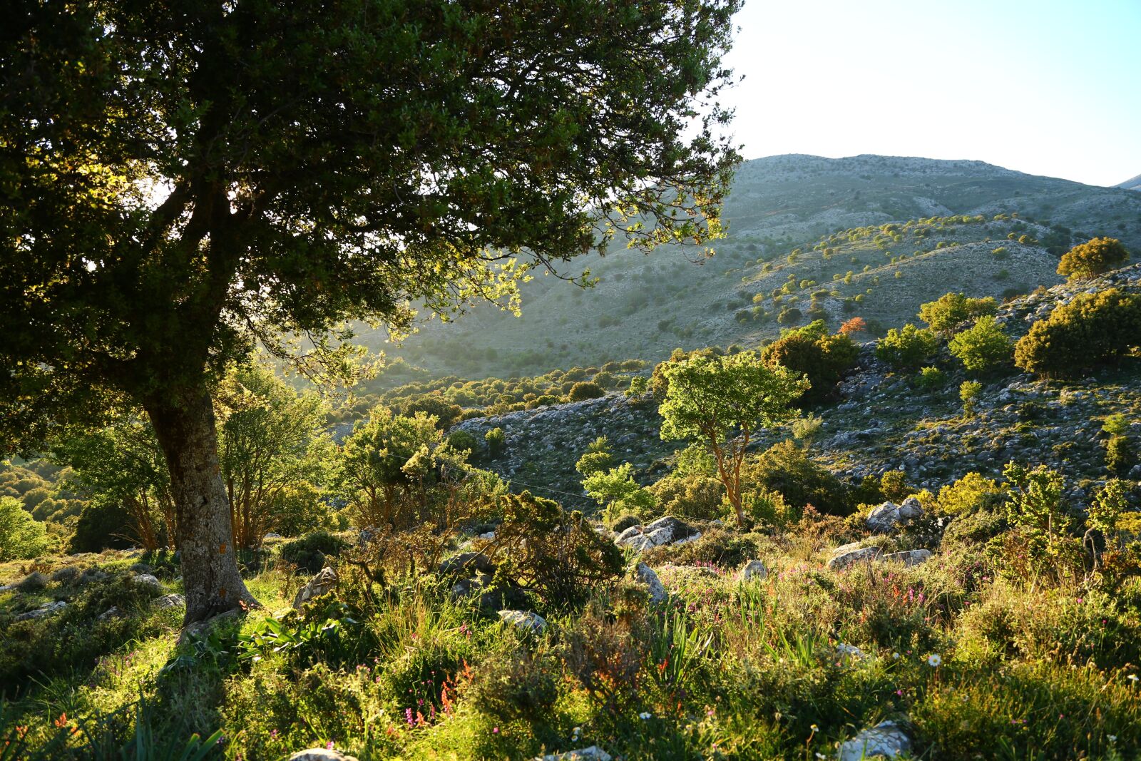 Canon EOS 6D + Canon EF 24-105mm F4L IS USM sample photo. Crete, mountains photography
