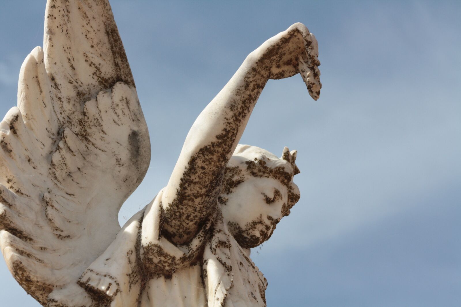 Canon EOS 1000D (EOS Digital Rebel XS / EOS Kiss F) sample photo. Angel, death, grave photography