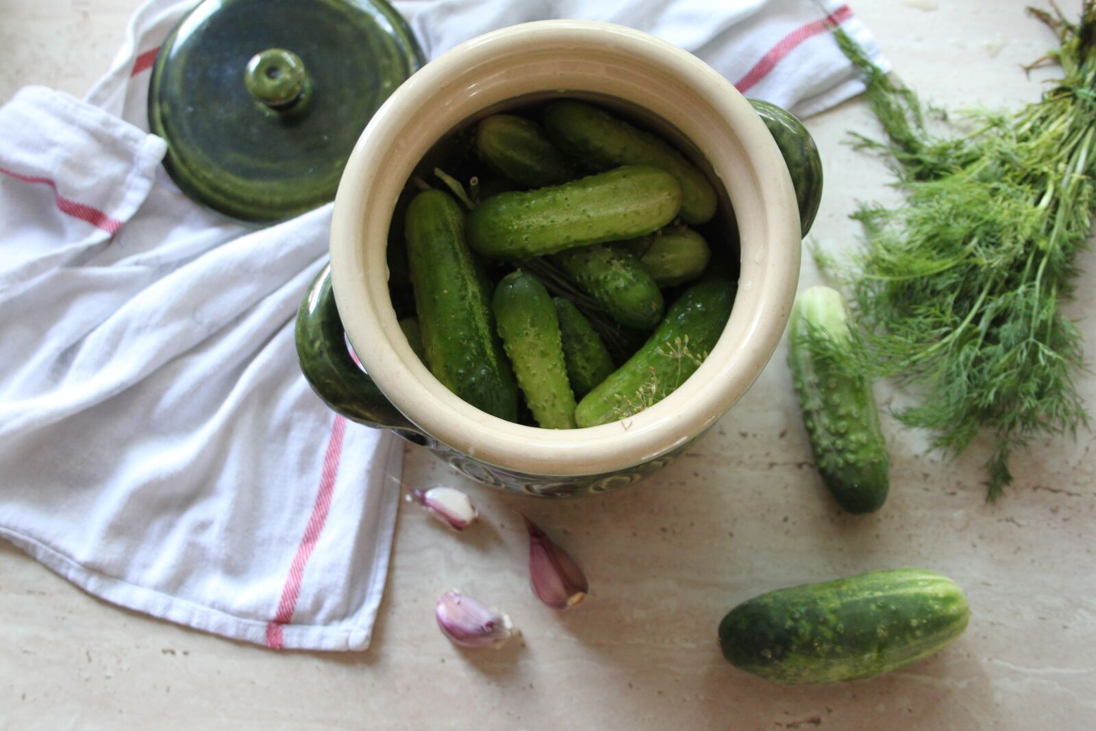Canon EOS 500D (EOS Rebel T1i / EOS Kiss X3) sample photo. Cucumbers, kiszenie, małosolne photography