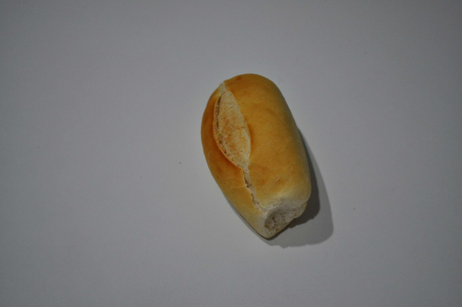 Nikon D5000 sample photo. Small, bread, patella photography