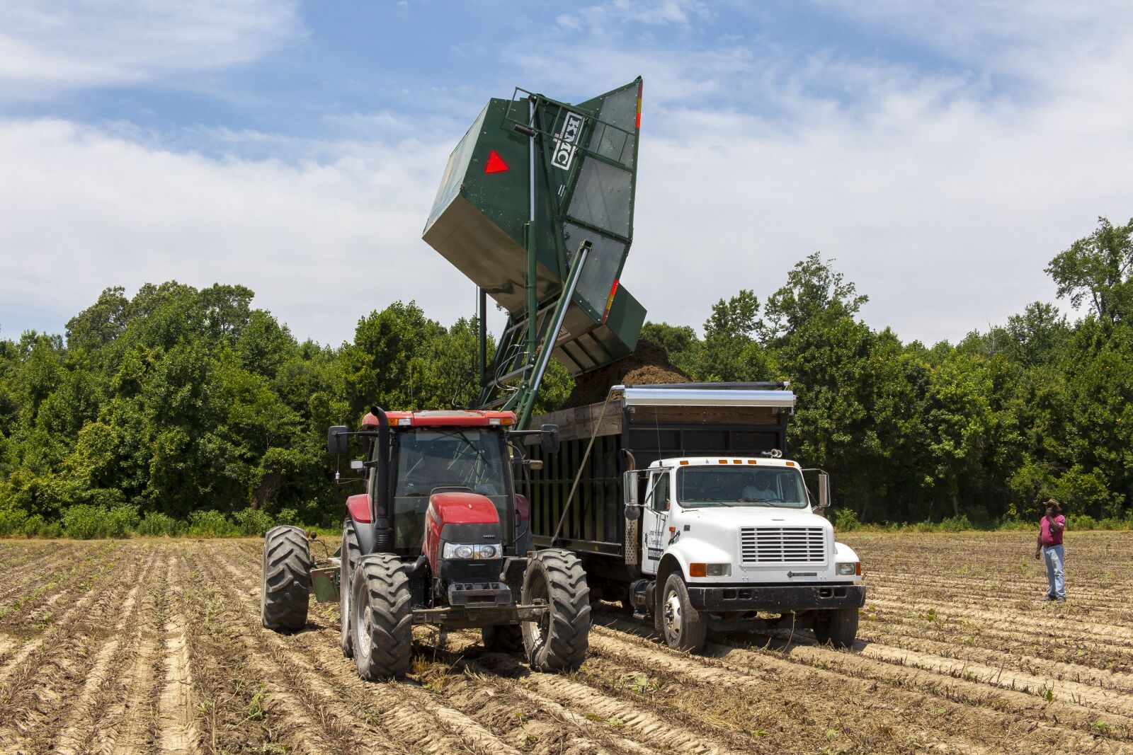 Canon EOS 5D Mark II + Canon EF 28-135mm F3.5-5.6 IS USM sample photo. Clary sage, harvest, agriculture photography