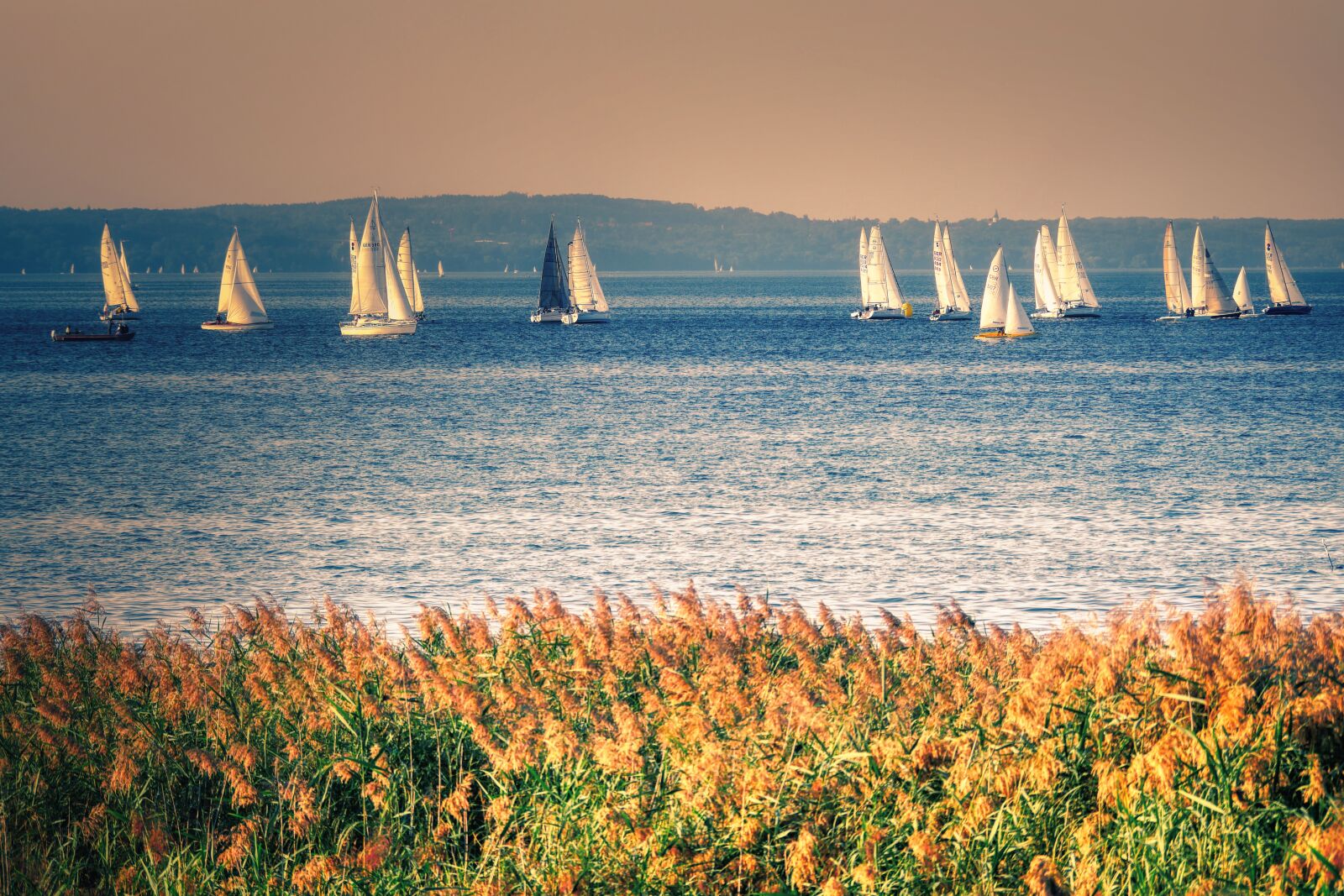 Panasonic Lumix DMC-GX8 sample photo. Lake, starnberger see, sail photography
