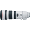 Canon EF 200-400mm F4L IS USM Extender 1.4x