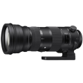 Sigma 150-600mm F5-6.3 DG OS HSM | S